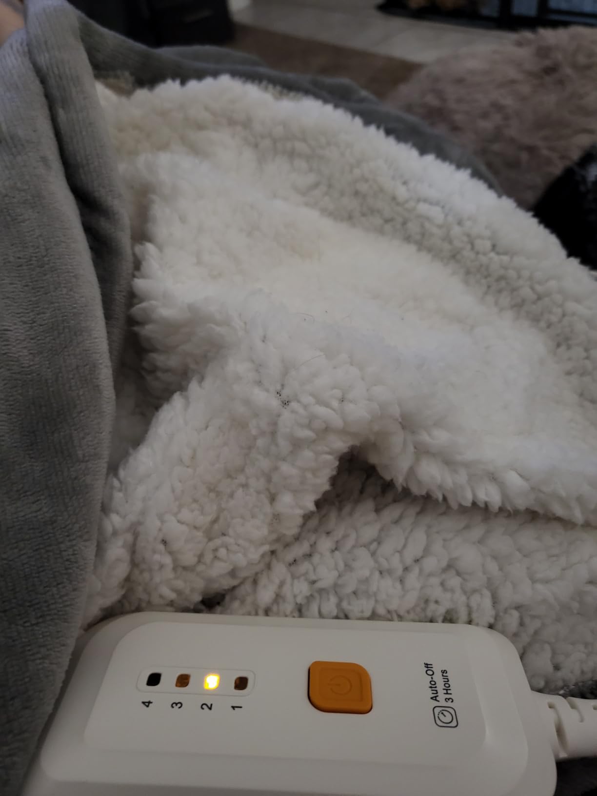 GOTCOZY Heated Blanket-Soft Plush Electric Blanket 50