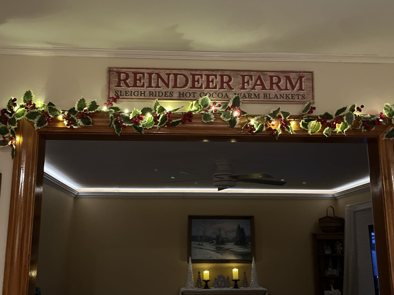 Juegoal Christmas Garland, 9FT Pre-lit Red Berries & Holly Leaves Garlands, Artificial Lighted Berry Garland Battery Operated with Timer, Indoor Outdoor Xmas Fireplace Gate Home Winter New Year Decor customer photo 1