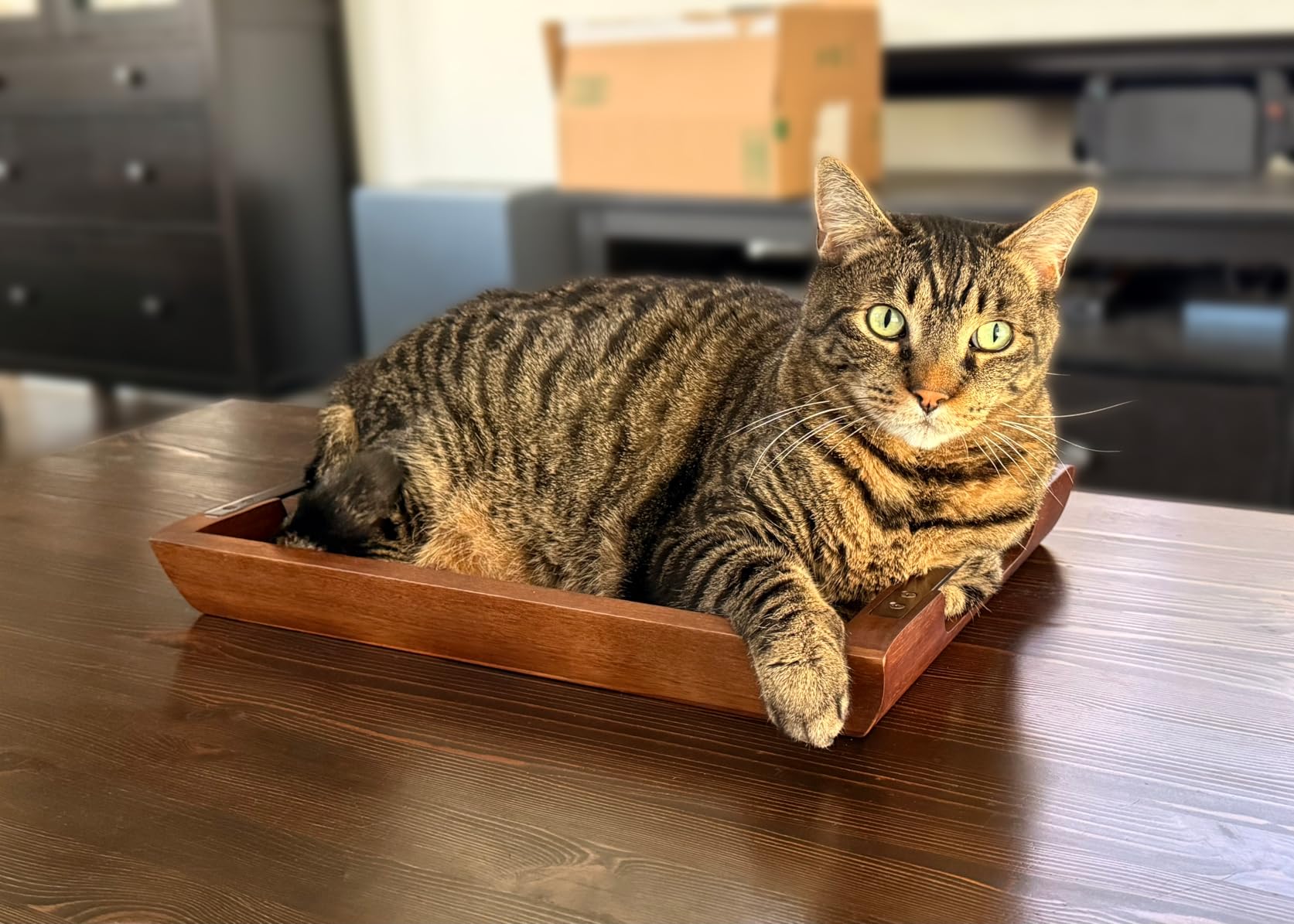 Acacia Wood Serving Tray with Metal Handle, 17x13in Tray for Ottoman customer photo 2