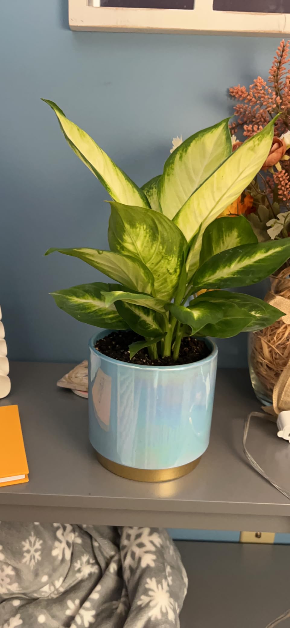 Gepege Ceramic Plant Pots for Indoor Plants, Planters with Drainage Holes customer photo 1