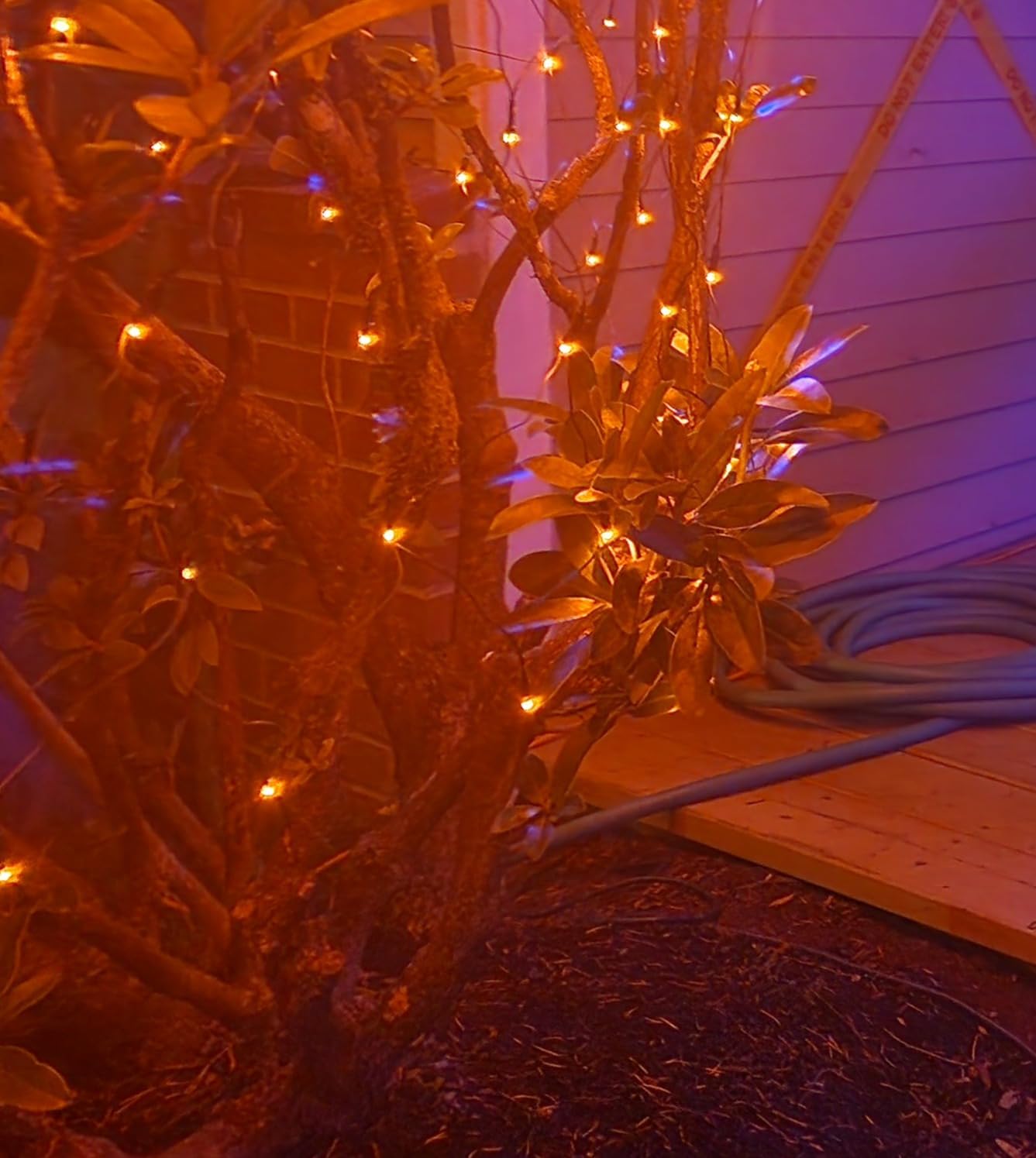 BlcTec Outdoor Christmas Lights 200 LED 8.4ft x 5.2ft Christmas Net Lights with 8 Modes, UL Certified, Timer, Connectable, Waterproof Design for Bushes, Shrubs Outdoor Xmas Decorations, Multicolor customer photo 1
