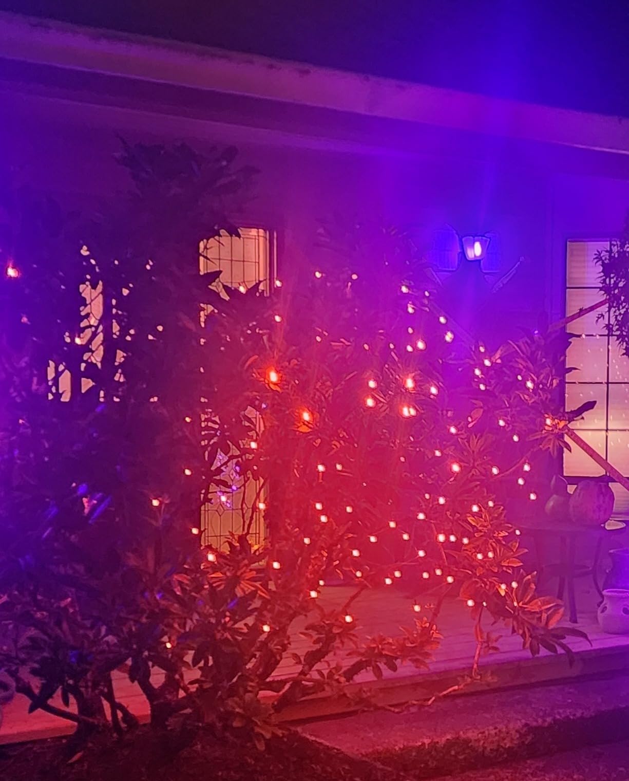 BlcTec Outdoor Christmas Lights 200 LED 8.4ft x 5.2ft Christmas Net Lights with 8 Modes, UL Certified, Timer, Connectable, Waterproof Design for Bushes, Shrubs Outdoor Xmas Decorations, Multicolor customer photo 2