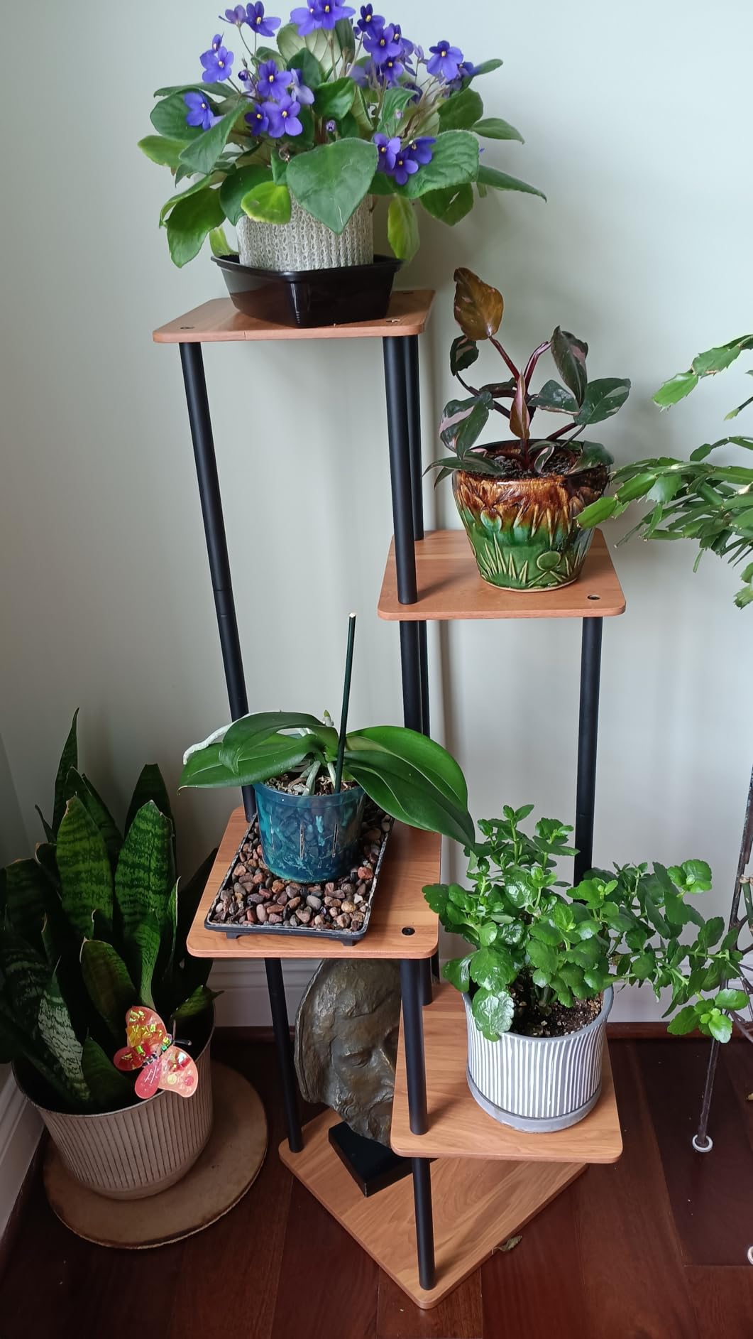 AZERPIAN 5 Tier Tall Plant Stand Indoor Corner Tiered Shelf Metal MDF Board customer photo 1