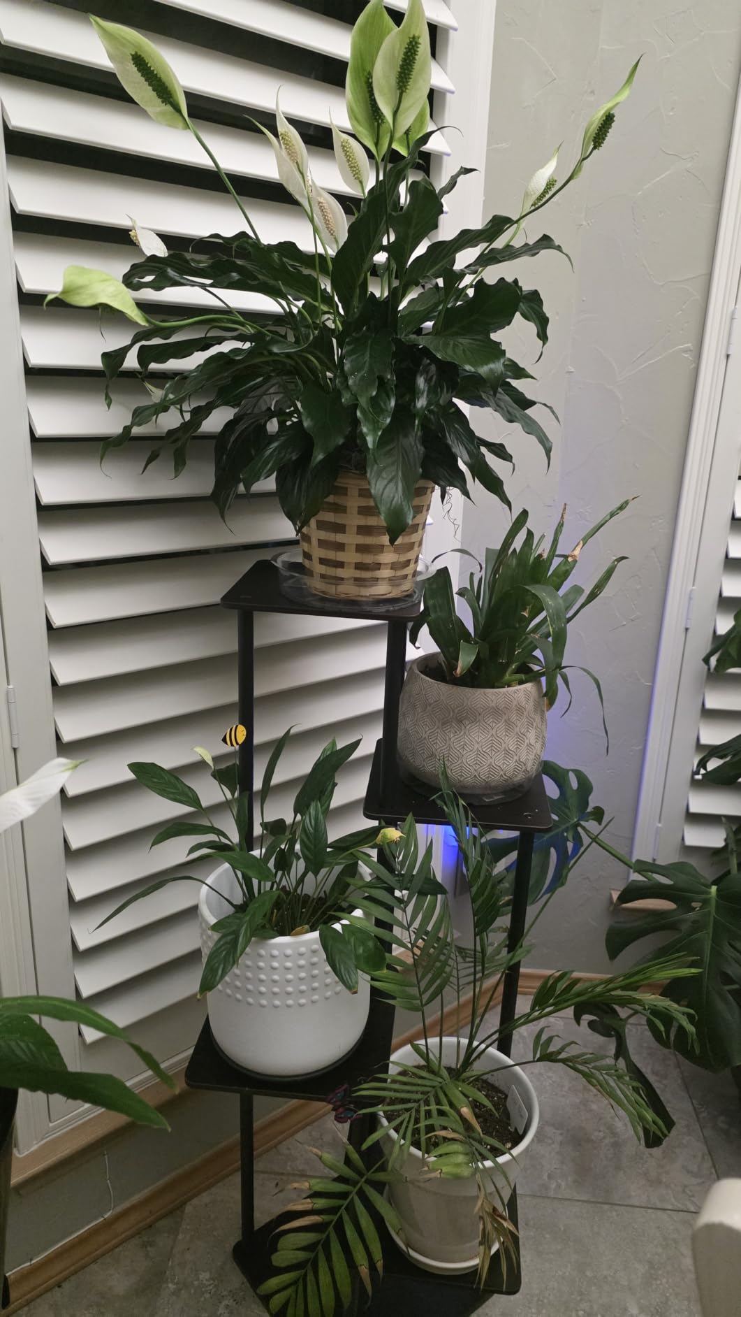 AZERPIAN 5 Tier Tall Plant Stand Indoor Corner Tiered Shelf Metal MDF Board customer photo 2