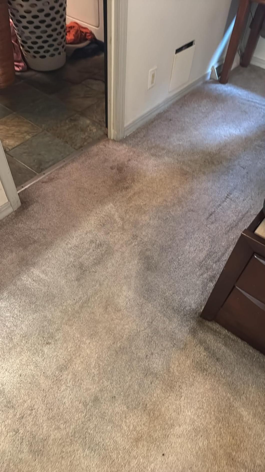 BISSELL ProHeat 2X Revolution Pet Pro Plus Carpet Cleaner, 3588F | Dual Dirt Lifter Powerbrush; hose & tool attachment; pet upholstery tool; upright deep cleaner customer photo 2