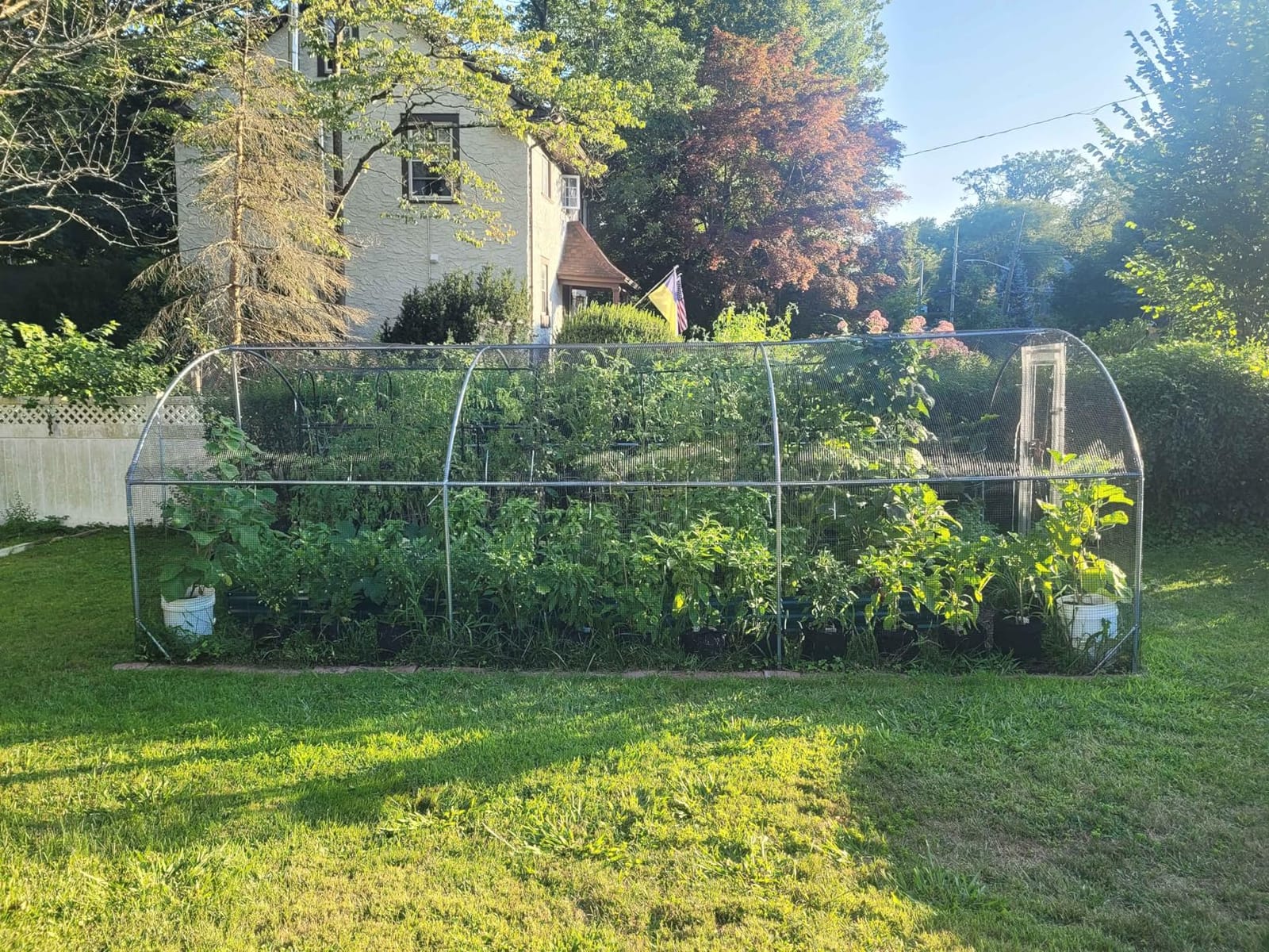 Large Metal Chicken Coop Round Top Upgrade Tri-Supporting Wire Mesh Chicken Run,Chicken Pen with Water-Resident and Anti-UV Cover,Duck Rabbit House Outdoor(19'L x 9'W x 6.5'H) customer photo 2
