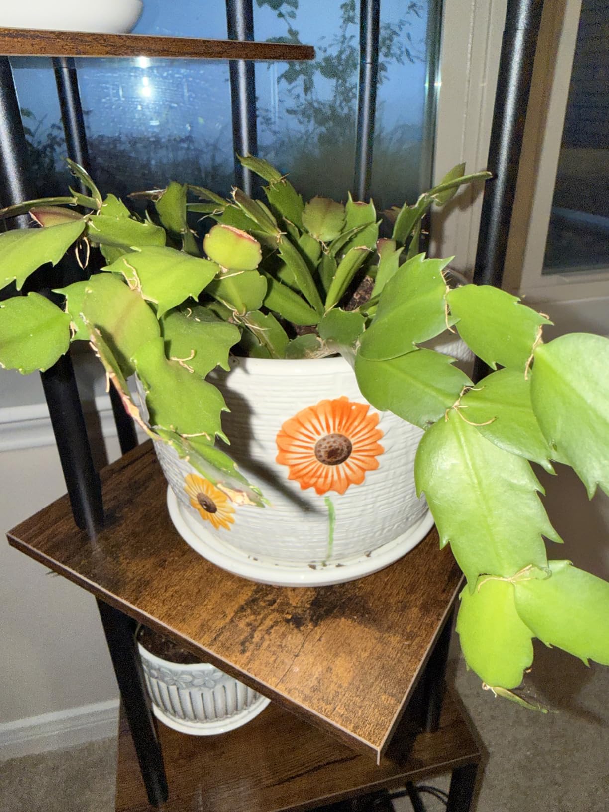 Gray Flower Pots, Texture Ceramic Plant Pots for Indoor Plants Set of 3 customer photo 1