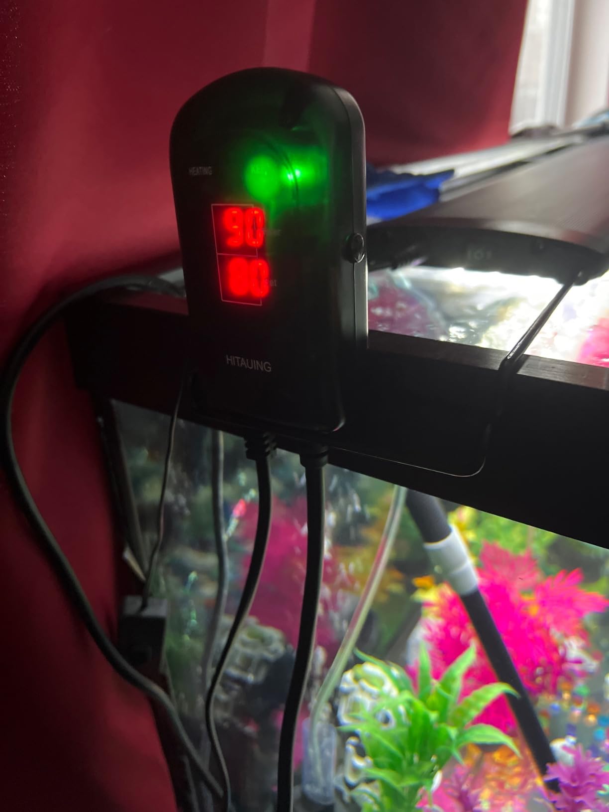 HiTauing Aquarium Heater, 300W Fish Tank Heater with LED Digital Display & 5 Safety Protection, Submersible Aquarium Heater with 2 Suction Cup and 8.2Ft Cord for 40-75 Gallon Fish Tank customer photo 2