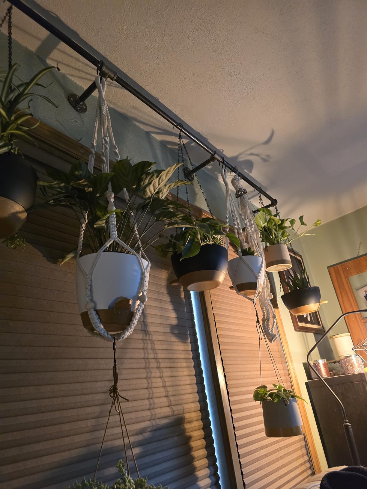 Bouqlife 3 Set Self Watering Hanging Planters for Indoor Plants customer photo 1