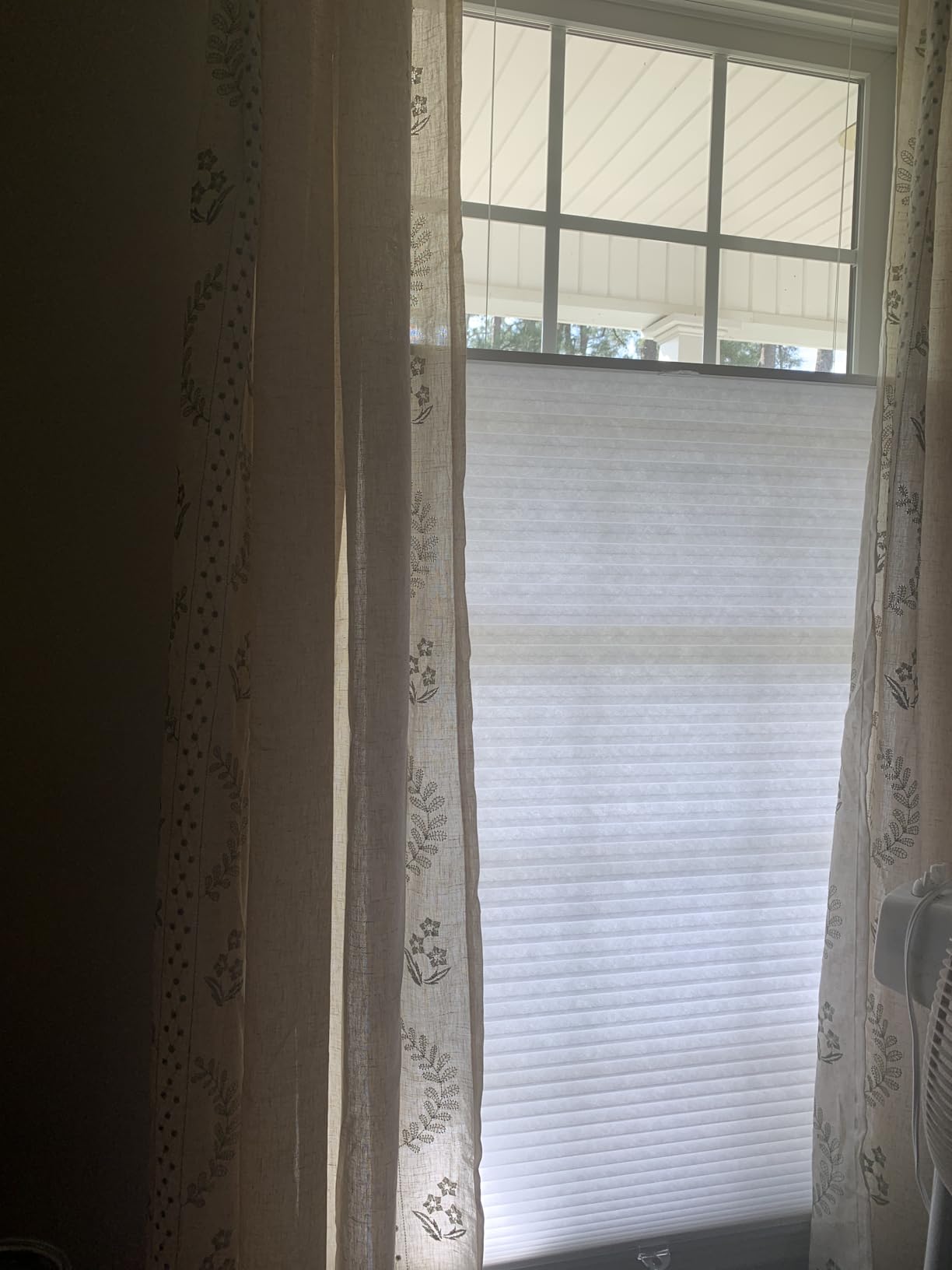 Allesin Top Down Bottom Up Cordless Cellular Shades, Thermal Insulation Honeycomb Blinds for Indoor Windows (Clear White, 29
