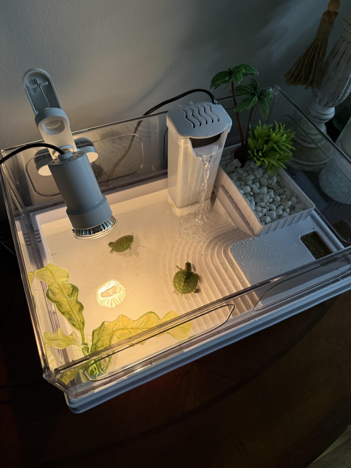 MoonOrange Small Turtle Tank Kit(Tank+Light+Filter), Acrylic Turtle Tank Starter Kit with Bask Platform, Bottom Drain, Multi-Function Area for Small Reptiles.(White) customer photo 1