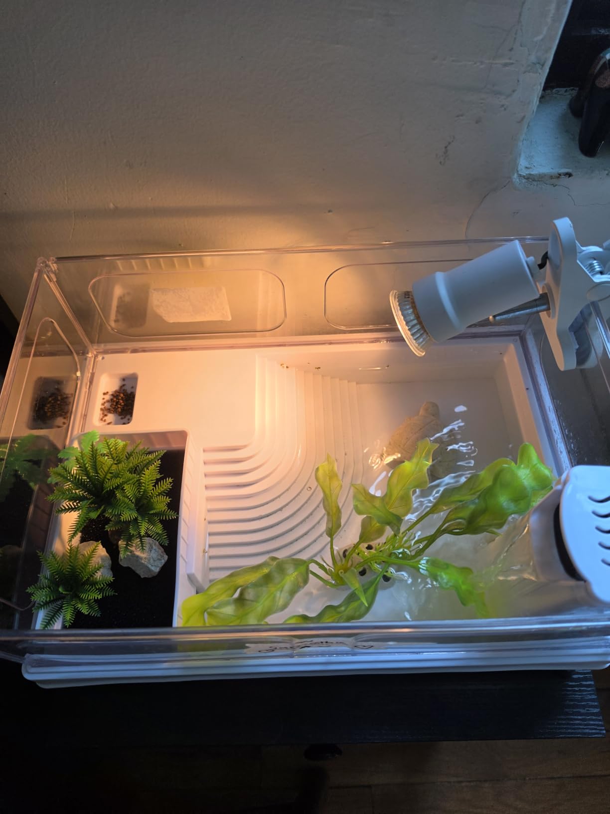 MoonOrange Small Turtle Tank Kit(Tank+Light+Filter), Acrylic Turtle Tank Starter Kit with Bask Platform, Bottom Drain, Multi-Function Area for Small Reptiles.(White) customer photo 2