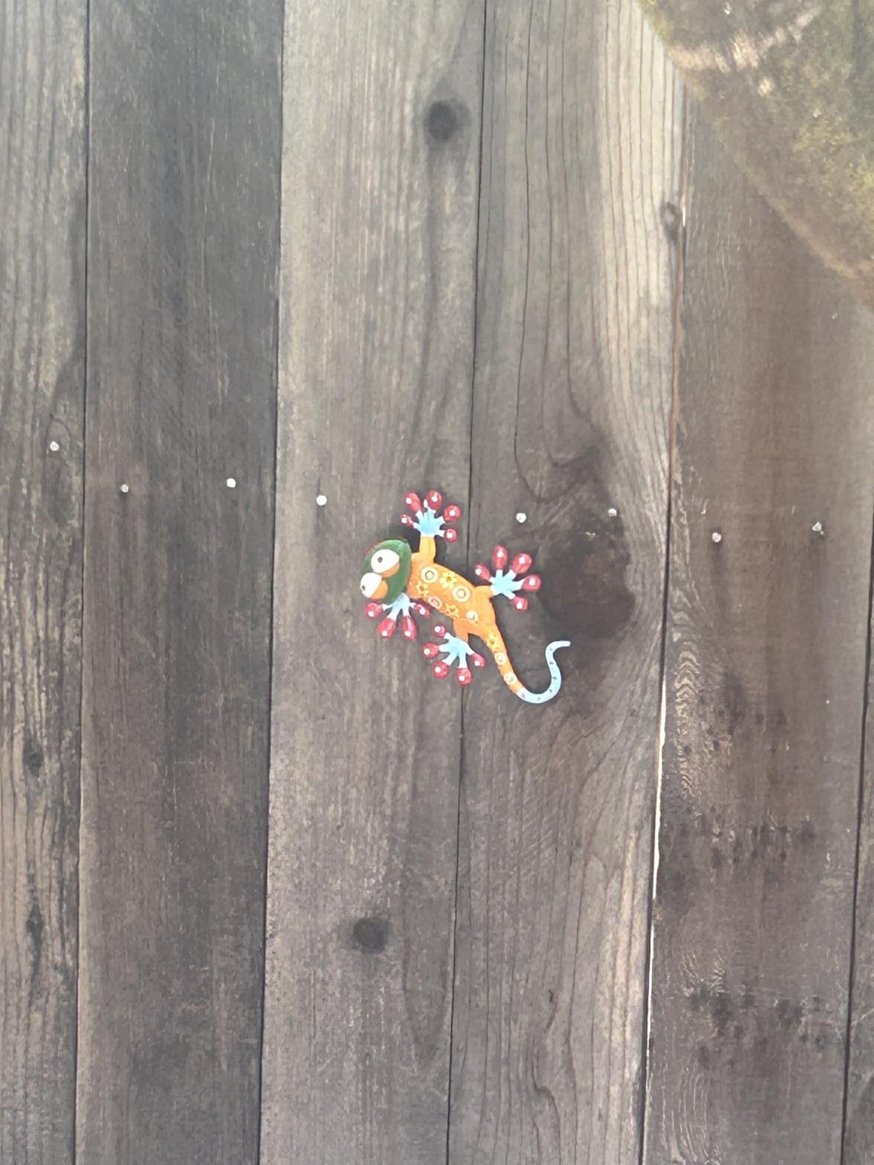 hogardeck Metal Gecko Outdoor Wall Decor, 6 Pack Lizard Wall Art Garden Sculptures & Statues with Free-Adjustable Head Outdoor Spring Decor for Front Yard Fence Patio customer photo 1