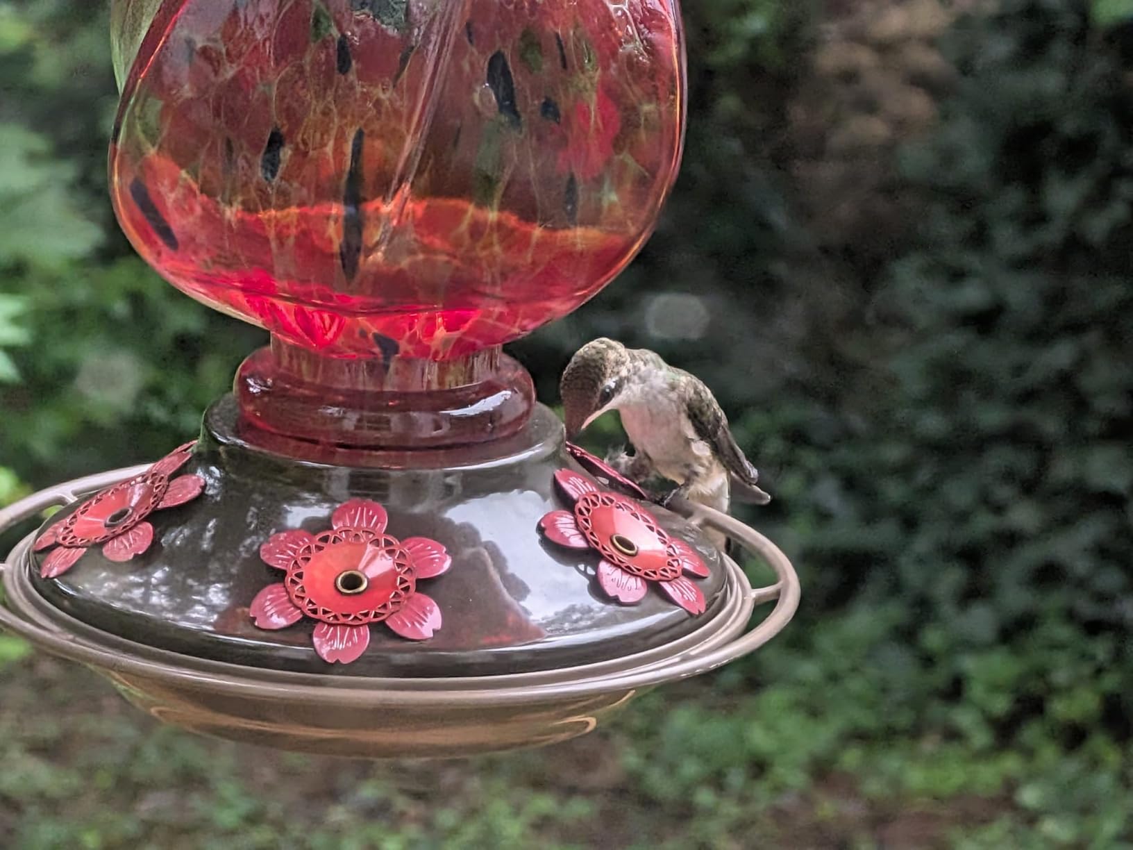 BOLITE Hummingbird Feeders for Outdoors Hanging, Hand Blown, Blue, 22oz customer photo 2