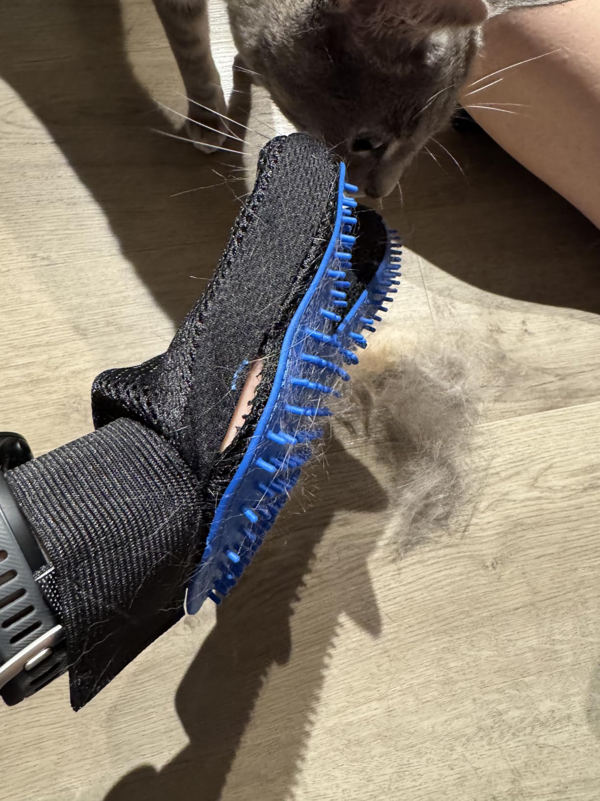 Cat Grooming Glove Brush, Pet Hair Remover Tool, 1 Pair Reusable Dog Hair Fur Remover for Carpet, Furniture, Couch, Clothes, Eco-Friendly and High efficiency (Blue) customer photo 1