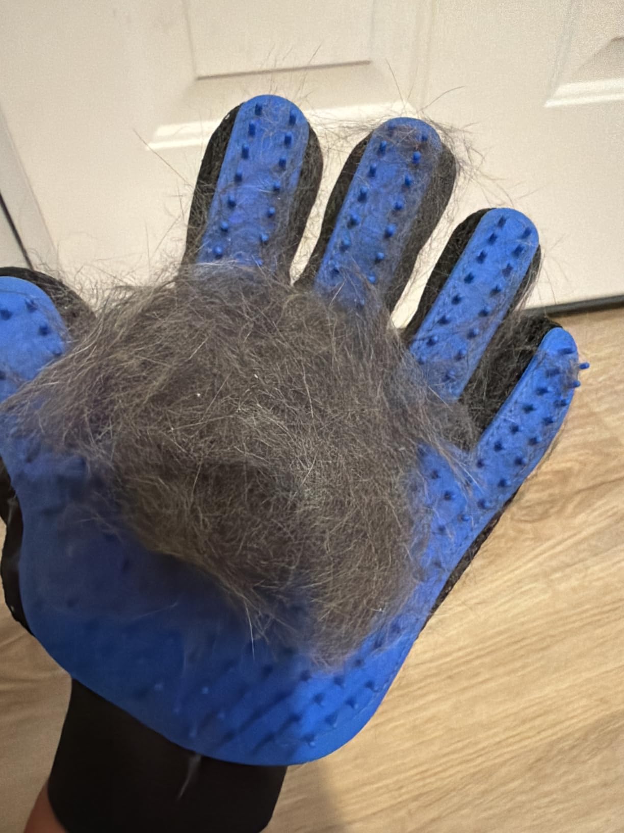 Cat Grooming Glove Brush, Pet Hair Remover Tool, 1 Pair Reusable Dog Hair Fur Remover for Carpet, Furniture, Couch, Clothes, Eco-Friendly and High efficiency (Blue) customer photo 2