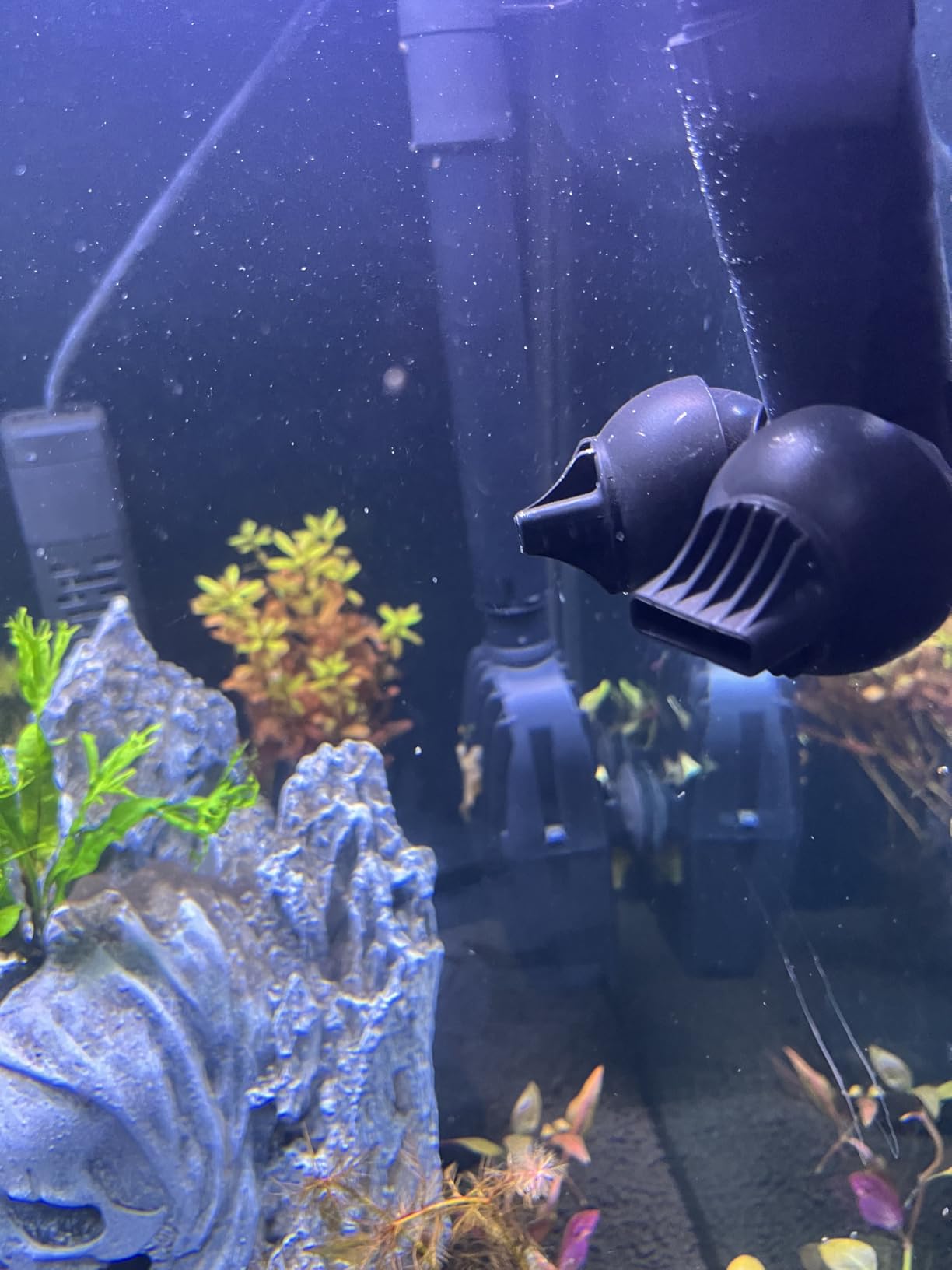 Fluval FX2 High Performance Canister Aquarium Filter | Multi-Stage Filtration customer photo 1