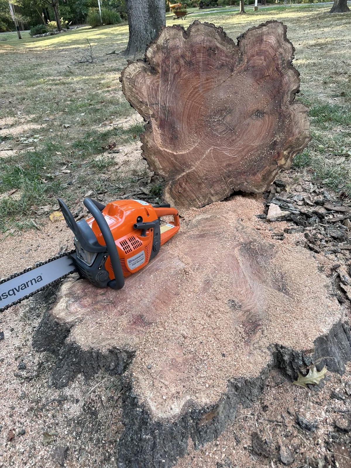 Husqvarna 455 Rancher Gas Chainsaw, 20 inch, 55-cc 3.5-HP customer photo 1