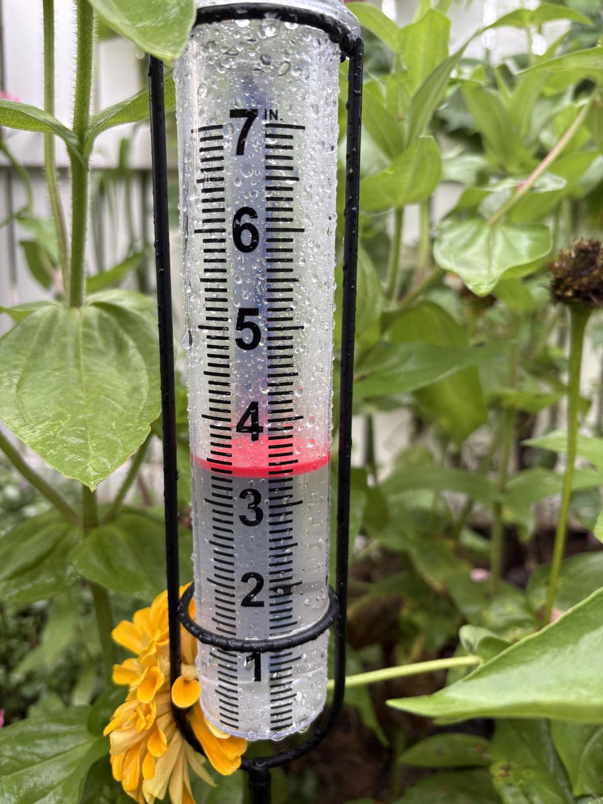 JMBay Rain Gauge Outdoor, Accurate rain gauges Outdoors Best Rated, Tall rain Gauge for Yard with Stake, Decorative rain Measure Gauge for Garden, Deck, Lawn with red Floating Buoy, Adjustable Height customer photo 1