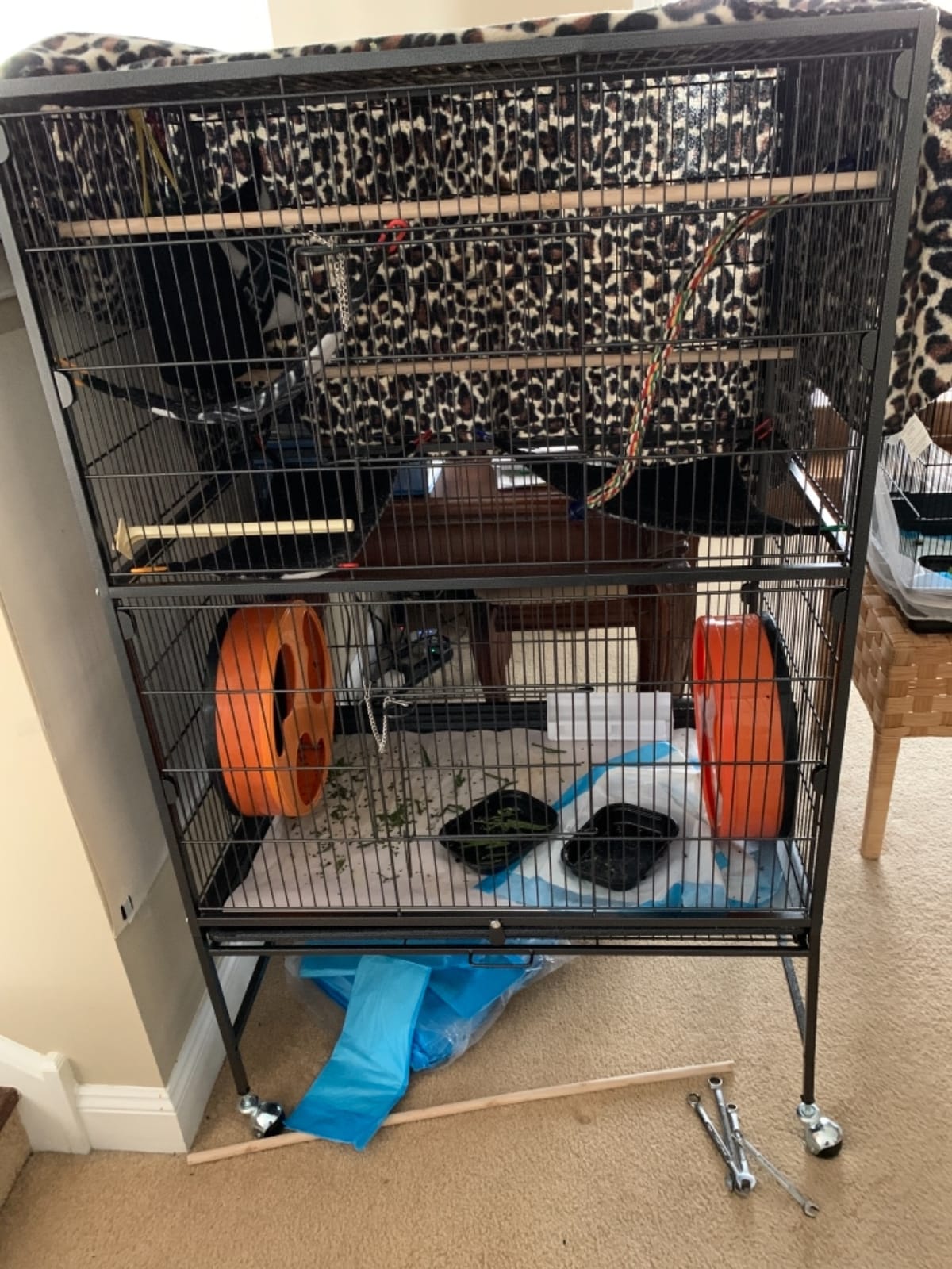 Topeakmart X-Large Parrot Cage Bird Cage with Rolling Stand for Medium Birds Cockatiels Quaker Green Cheek Sun Conure African Grey, 60.5inch customer photo 1