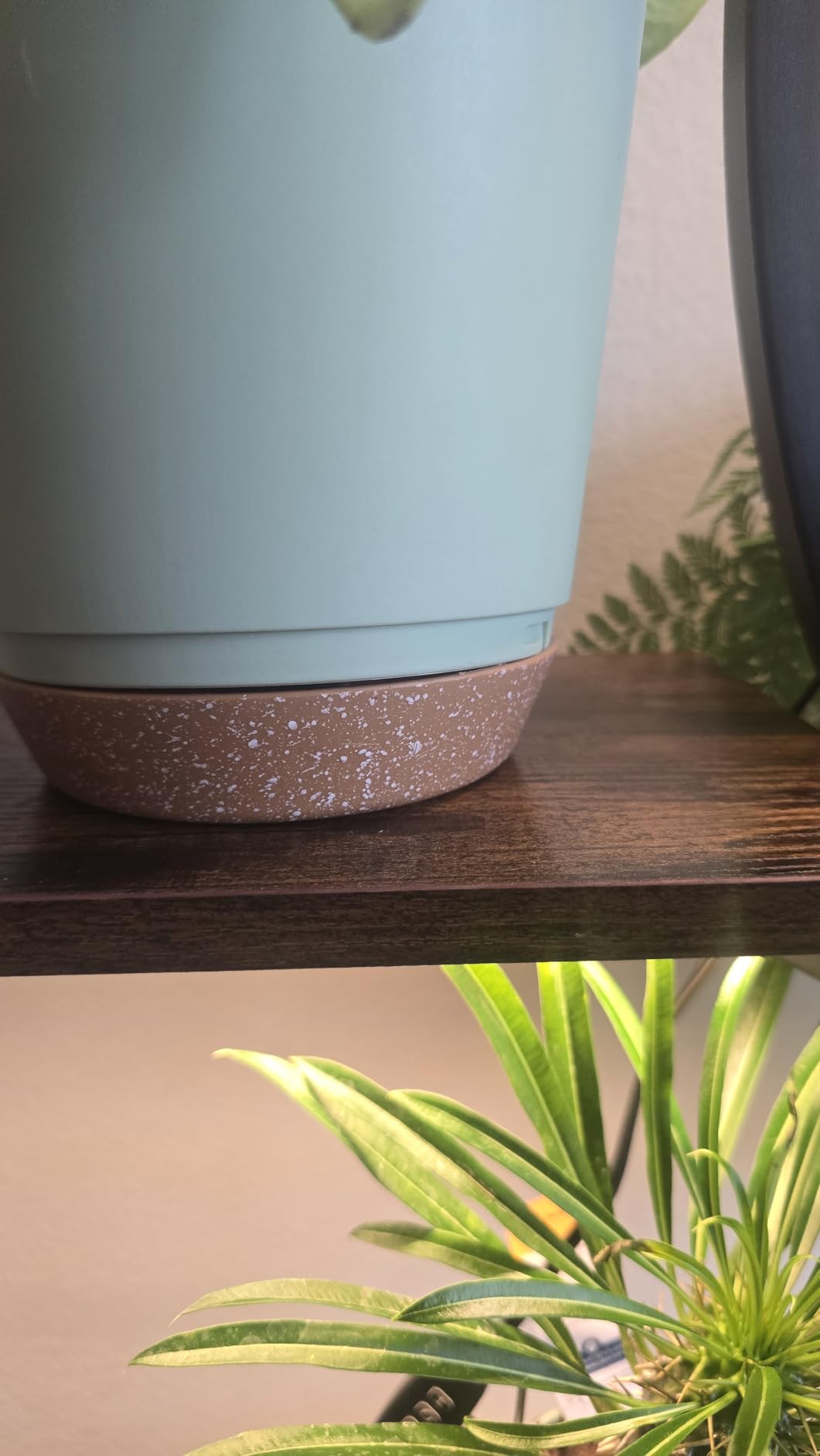 QRRICA 7/7.5/8/9/10 Inch Self Watering Pots for Indoor/Outdoor Plants customer photo 2