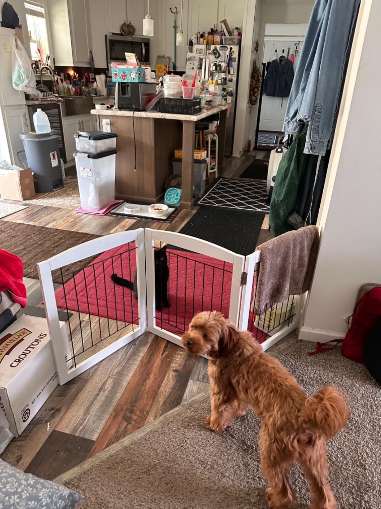 ZJSF Freestanding Foldable Dog Gate for House Extra Wide Wooden White Indoor Puppy Gate Stairs Doorways Pet Gate Tall Dog Fence 3 Panels Fence customer photo 1