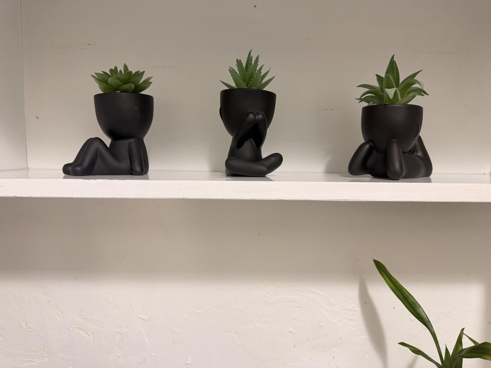 Der Rose 3 Pack Fake Plants in Black Pots for Bathroom Living Room Decor customer photo 2