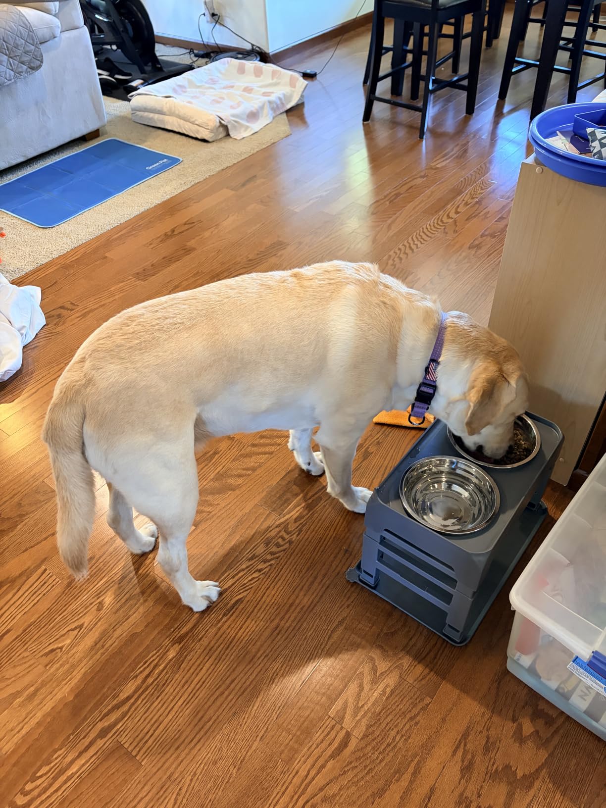 COMESOON Elevated Dog Bowls, 4 Height Adjustable Raised Bowl Stand with 2 Thick 50oz Stainless Steel Food Bowls Non-Slip Feeder Adjusts to 3.7'', 9.2'', 10.75'', 12.36'' Black, (DB-W01) customer photo 2