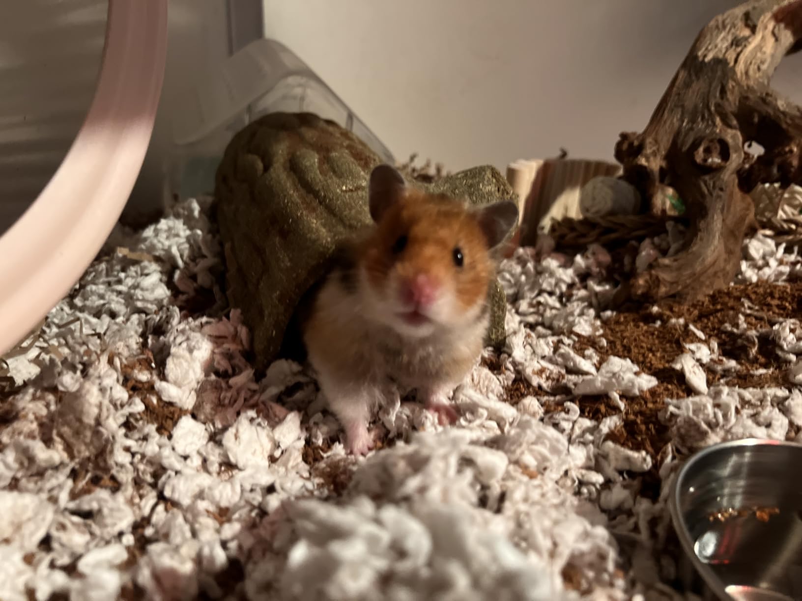 BUCATSTATE Hamster Cage 2.0, Large Hamster Enclosure (39in, White) customer photo 1