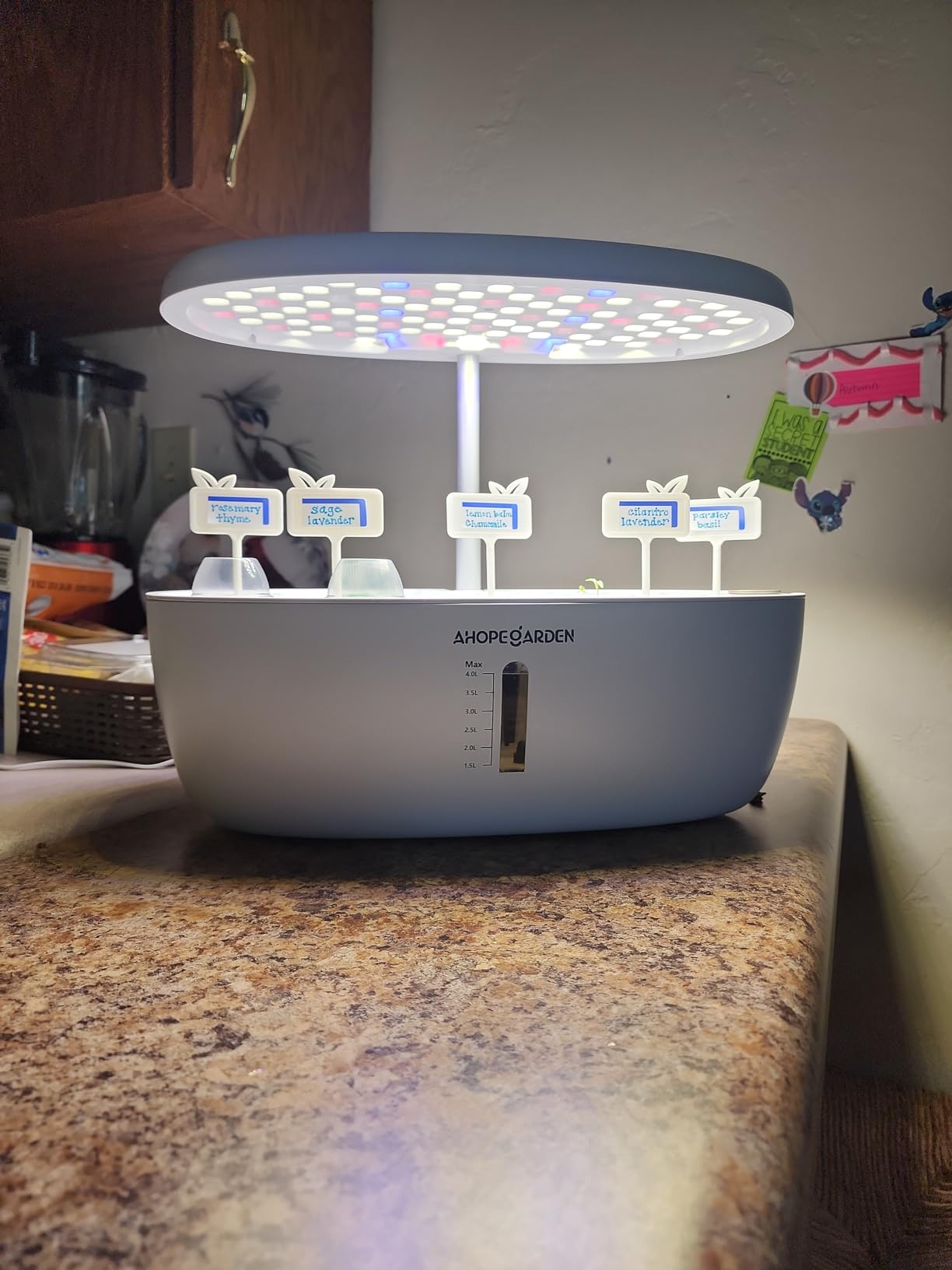 Ahopegarden Hydroponics Growing System: 12 Pods Indoor Herb Garden with LED | Plant Germination Kit with LED Grow Light,Countertop Herb Garden, Hydrophonic Planter Grower Harvest Vegetables Lettuce customer photo 2