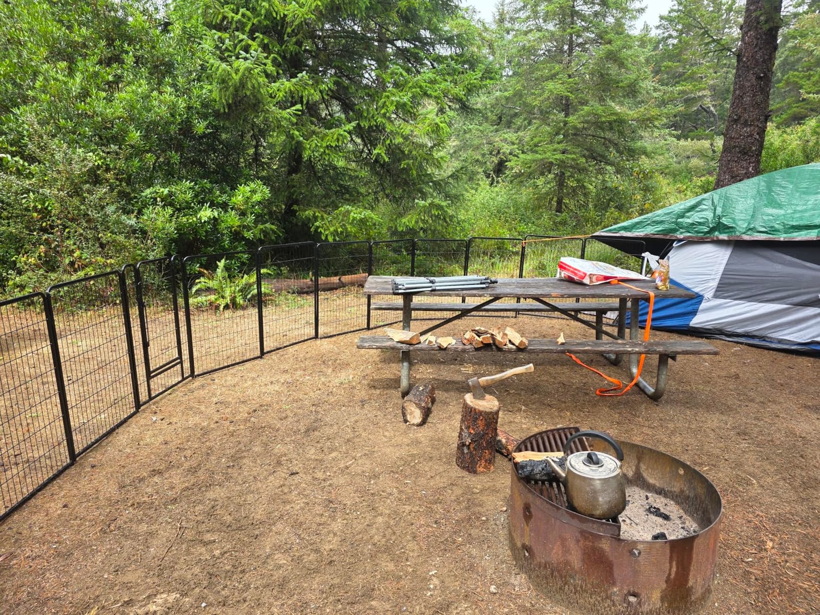 Yaheetech Dog Playpen 32in 12 Panels Pet Fence for Indoor Yard RV Camping customer photo 1