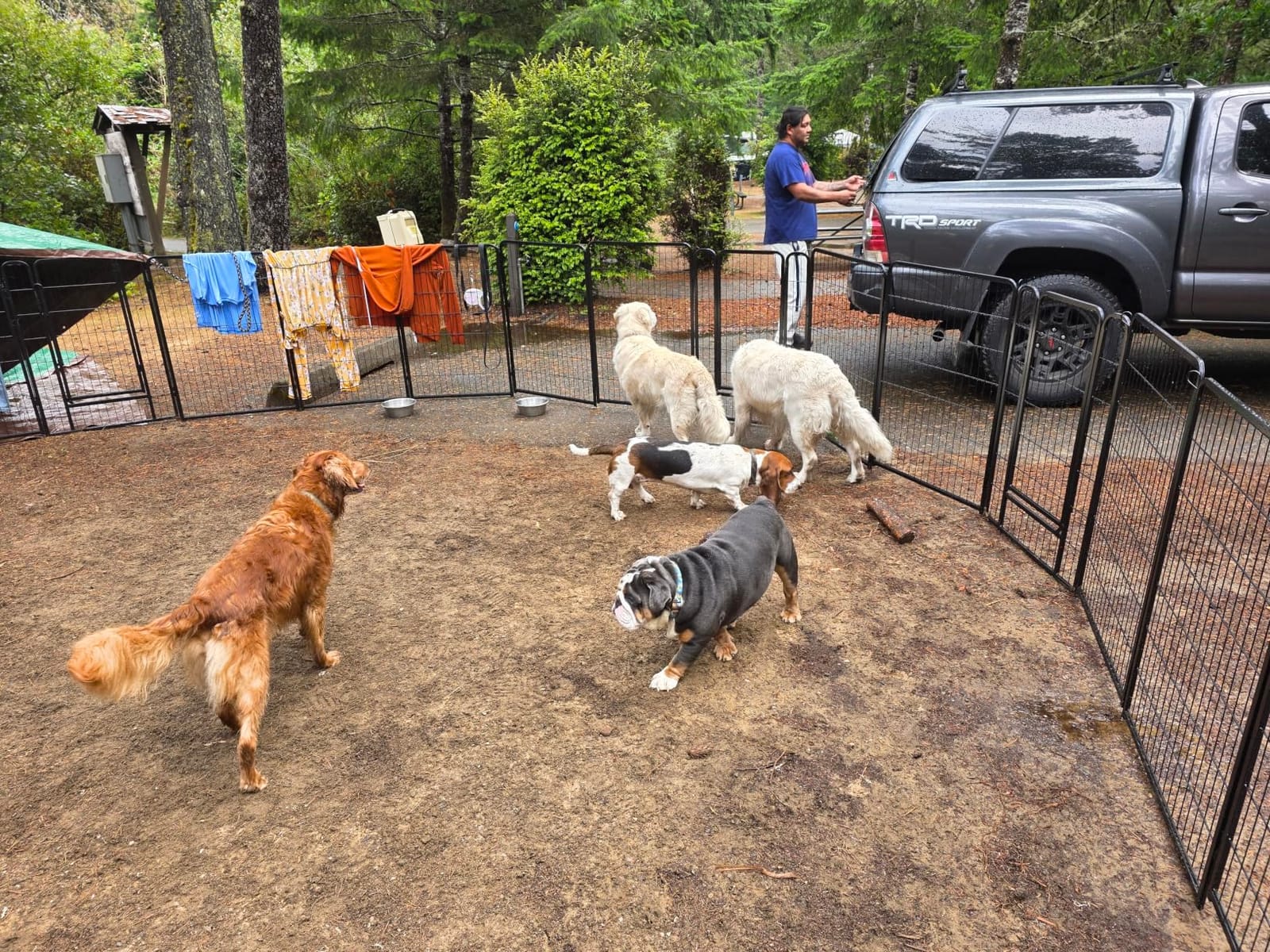 Yaheetech Dog Playpen 32in 12 Panels Pet Fence for Indoor Yard RV Camping customer photo 2