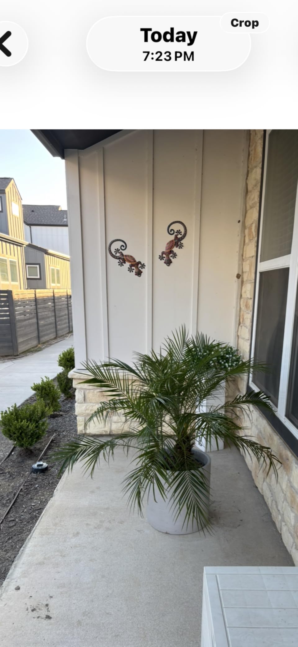 LIFFY Metal Gecko Wall Decor Large 2 Pack, Outdoor Lizard Wall Art, Metal Lizards Wall Decor, Gecko Wall Art for Home Garden Yard Fence(15inch) customer photo 1