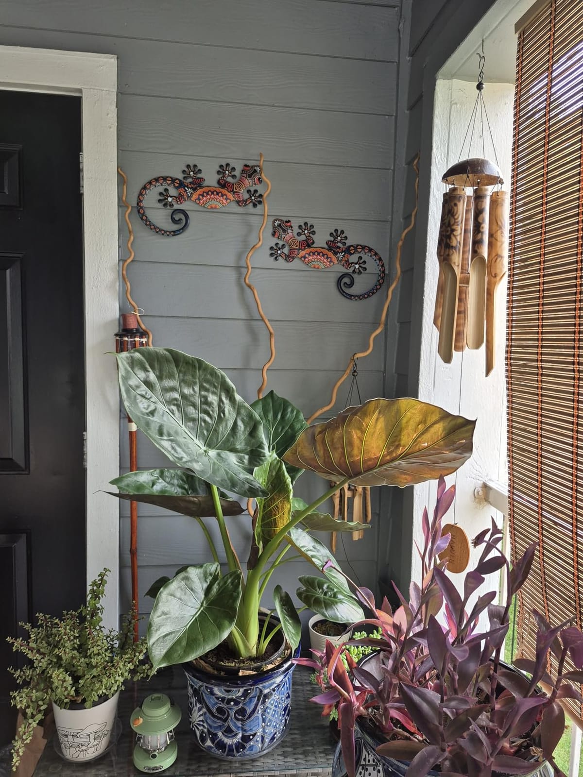 LIFFY Metal Gecko Wall Decor Large 2 Pack, Outdoor Lizard Wall Art, Metal Lizards Wall Decor, Gecko Wall Art for Home Garden Yard Fence(15inch) customer photo 2