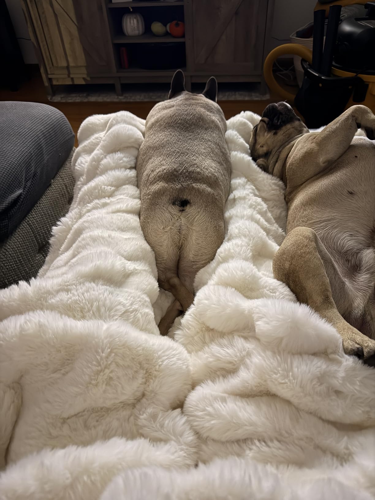 EverGrace Faux Rabbit Fur Bubble Throw Blanket, 60