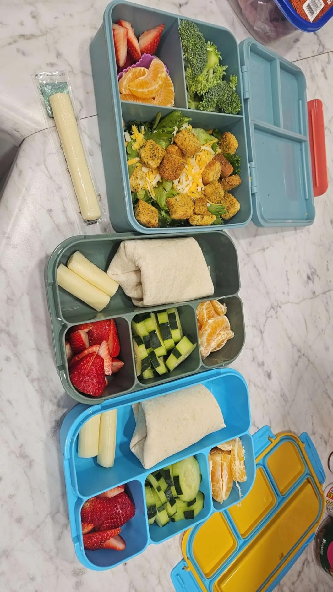 shell and turtle Bento Box Adult Lunch Box, Kids Lunch Containers for School with 4 Compartments, with Utensils, Sauce Jar, Muffin Liners, Microwave Safe, Navy customer photo 2
