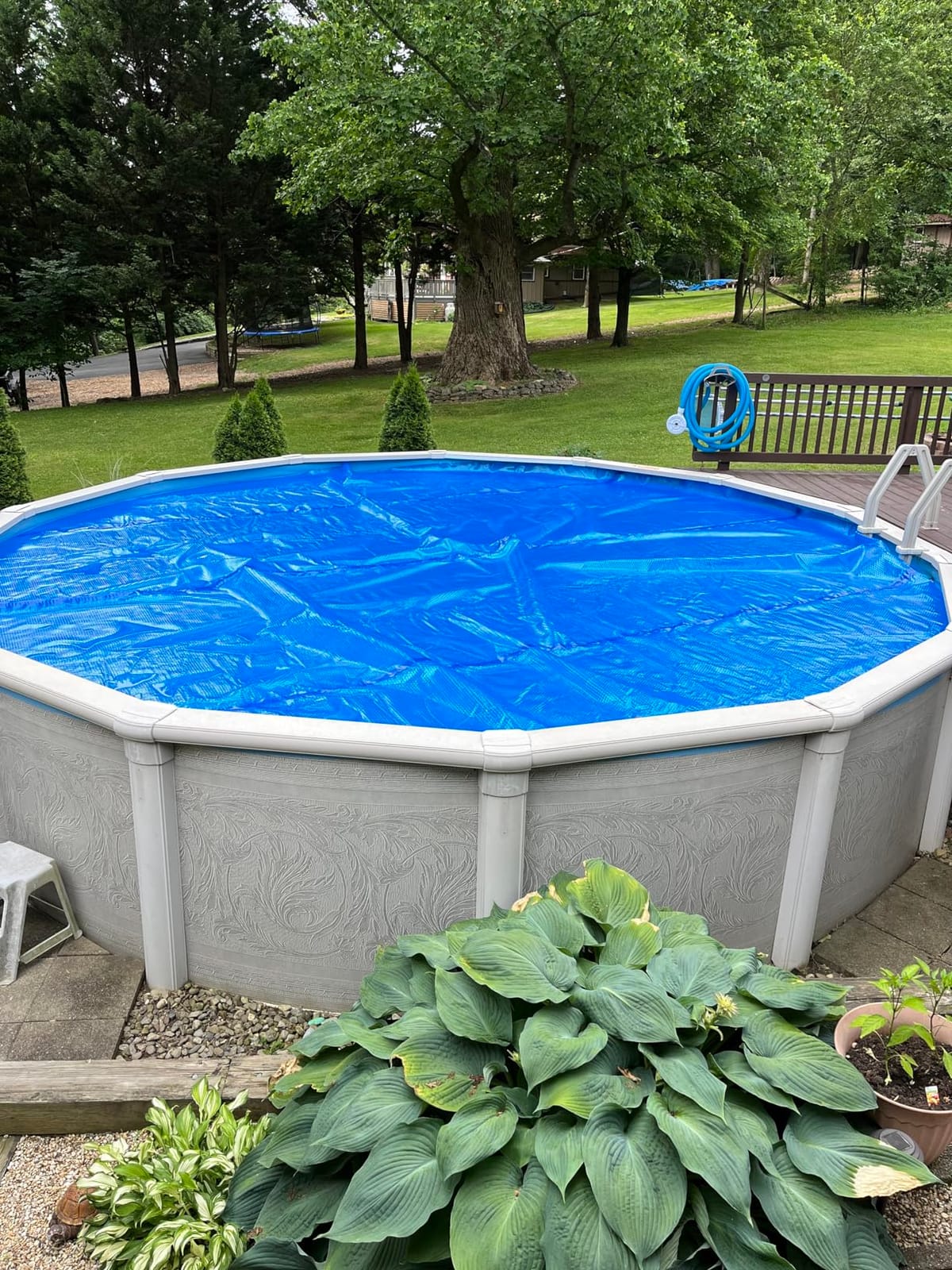 In The Swim 18' Premium Blue Round Solar Pool Cover 12 Mil | For Solar Heating Above Ground Pools and Inground Pools customer photo 1