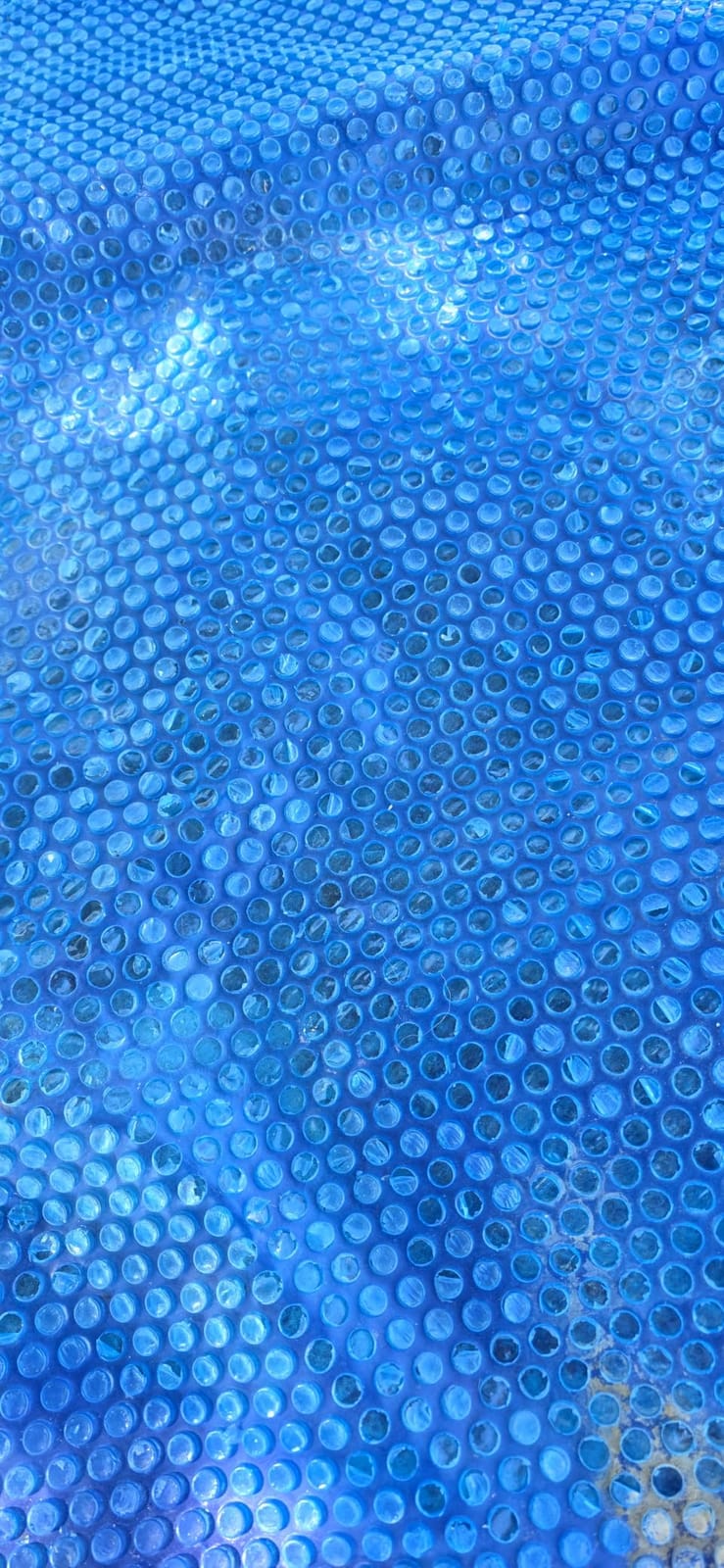 In The Swim 18' Premium Blue Round Solar Pool Cover 12 Mil | For Solar Heating Above Ground Pools and Inground Pools customer photo 2