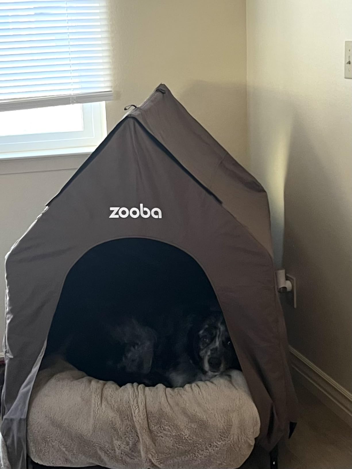Zooba Large Dog House Outdoor, 36in Elevated 2-in-1 Cot & Canopy | Breathable mesh keeps dogs cool; water-resistant canopy for mild weather; interior fits Labs, Goldens, 15-min setup customer photo 1