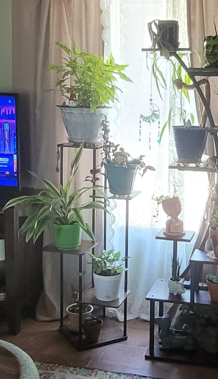 Bamworld Plant Stand Indoor Corner Plant Shelf for Multiple Plants | Tall Flower Stand 5 Tier Plant Table for Living Room Bedroom Balcony Brown customer photo 1
