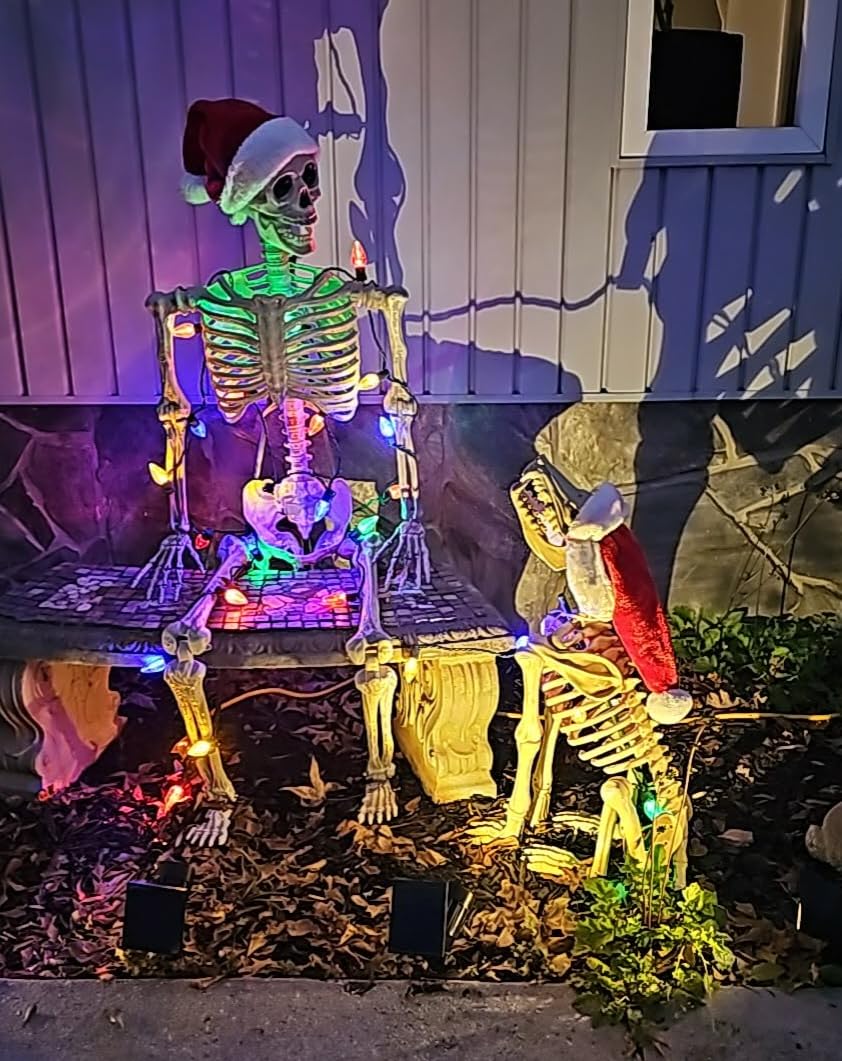 JOYIN 5.6 FT Halloween Posable Life Size Skeleton, Full Body Realistic Bones with Movable Joints, Giant Skeletons Halloween Decorations for Indoor Outdoor Haunted House Props, Spooky Scene Party Decor customer photo 1