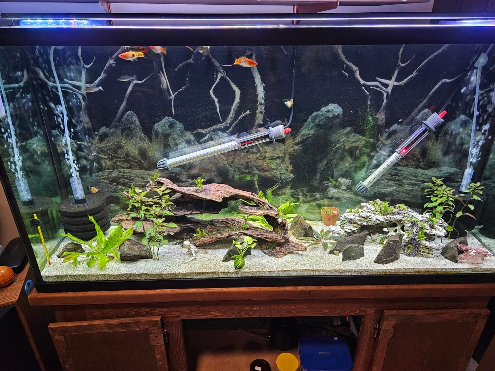 AQQA Aquarium Air Pump, 3W Powerful Dual Outlet Adjustable Oxygen Aerator customer photo 1