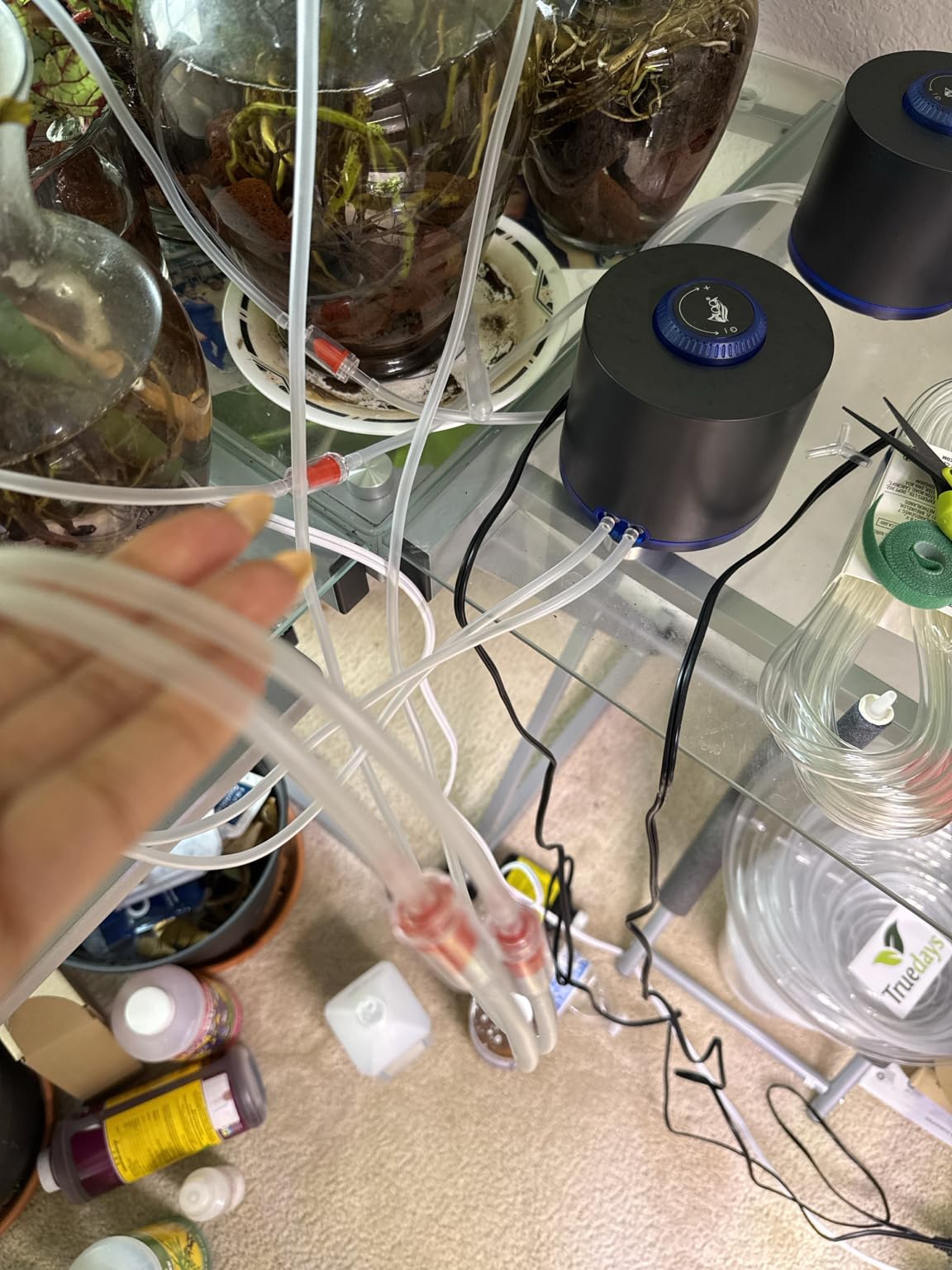 AQQA Aquarium Air Pump, 3W Powerful Dual Outlet Adjustable Oxygen Aerator customer photo 2