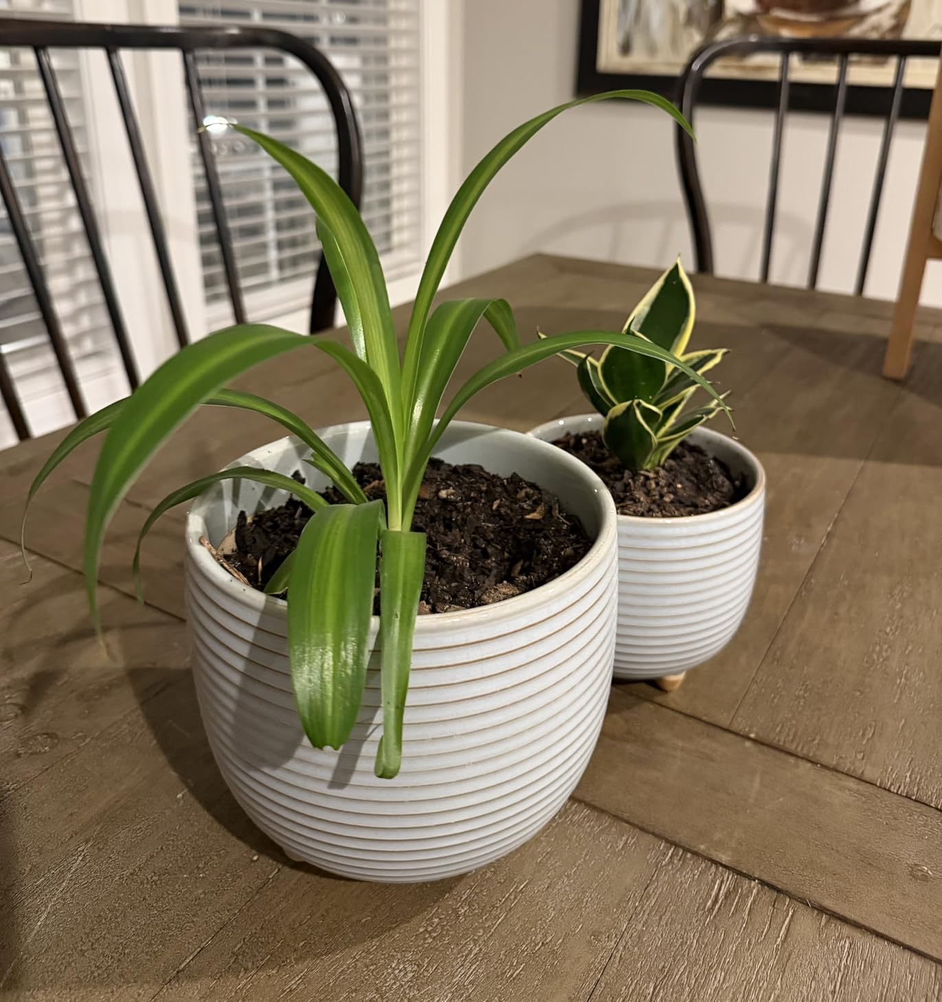 LE TAUCI Ceramic Plant Pots, 5.1 + 6.4 Inch Footed Pots for Plants, Modern Flower Pots for Home and Office, Indoor Planters with Drainage, Reactive Glaze White customer photo 1