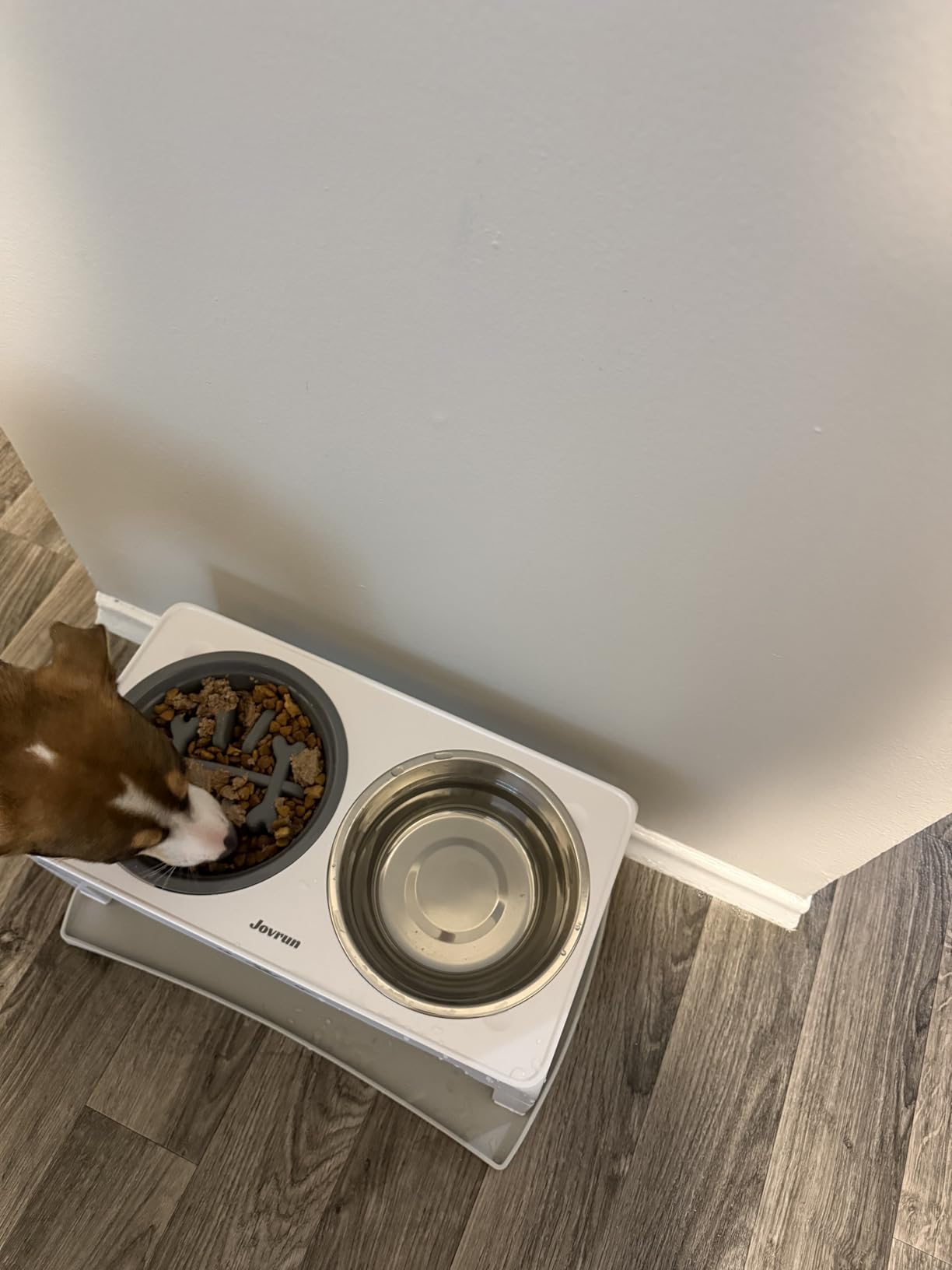 Jovrun Elevated Dog Bowls for Medium Large Size Dogs, Non-Slip Dog Feeder with 1*Stainless Steel Dishes & 1*Slow Feeder Bowl, 5 Heights Adjustable Raised Bowls to 3.15″-8.66″-9.84″-11.02″-12.2″ customer photo 2