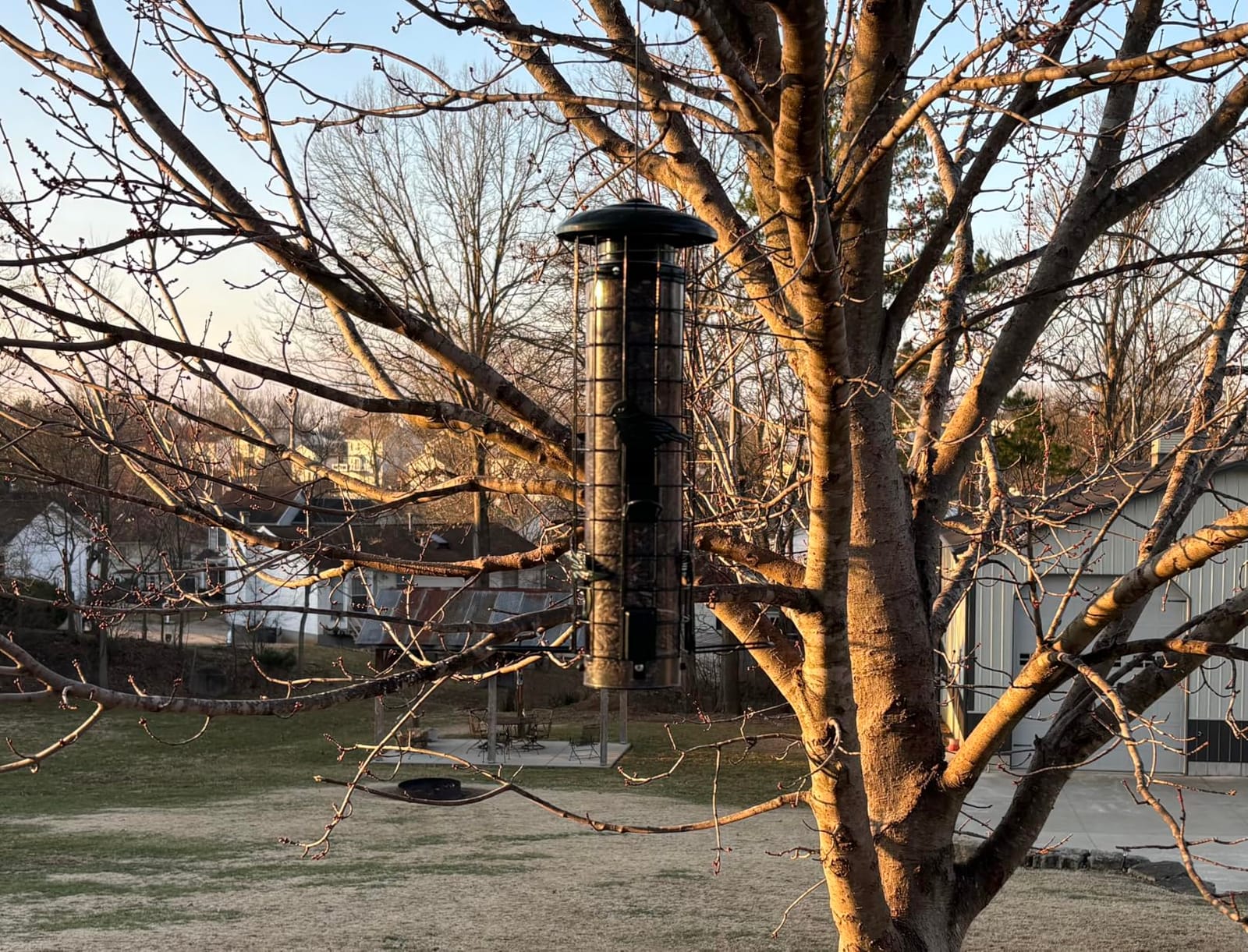 Squirrel Proof Bird Feeder,Metal Mesh Bird Feeders for Outdoors Hanging,Gravity Protection Squirrel Proof Wild Bird Feeders with Finch Cardinal Chickadee,3LB Large Capacity,Green customer photo 1