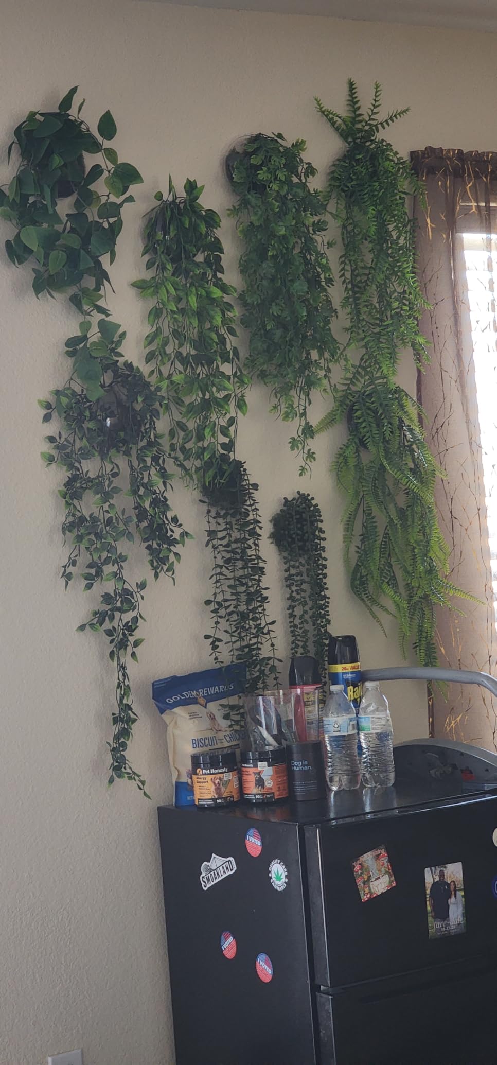 Der Rose 4Pcs Fake Hanging Plants with Lush Cascading Greenery customer photo 2