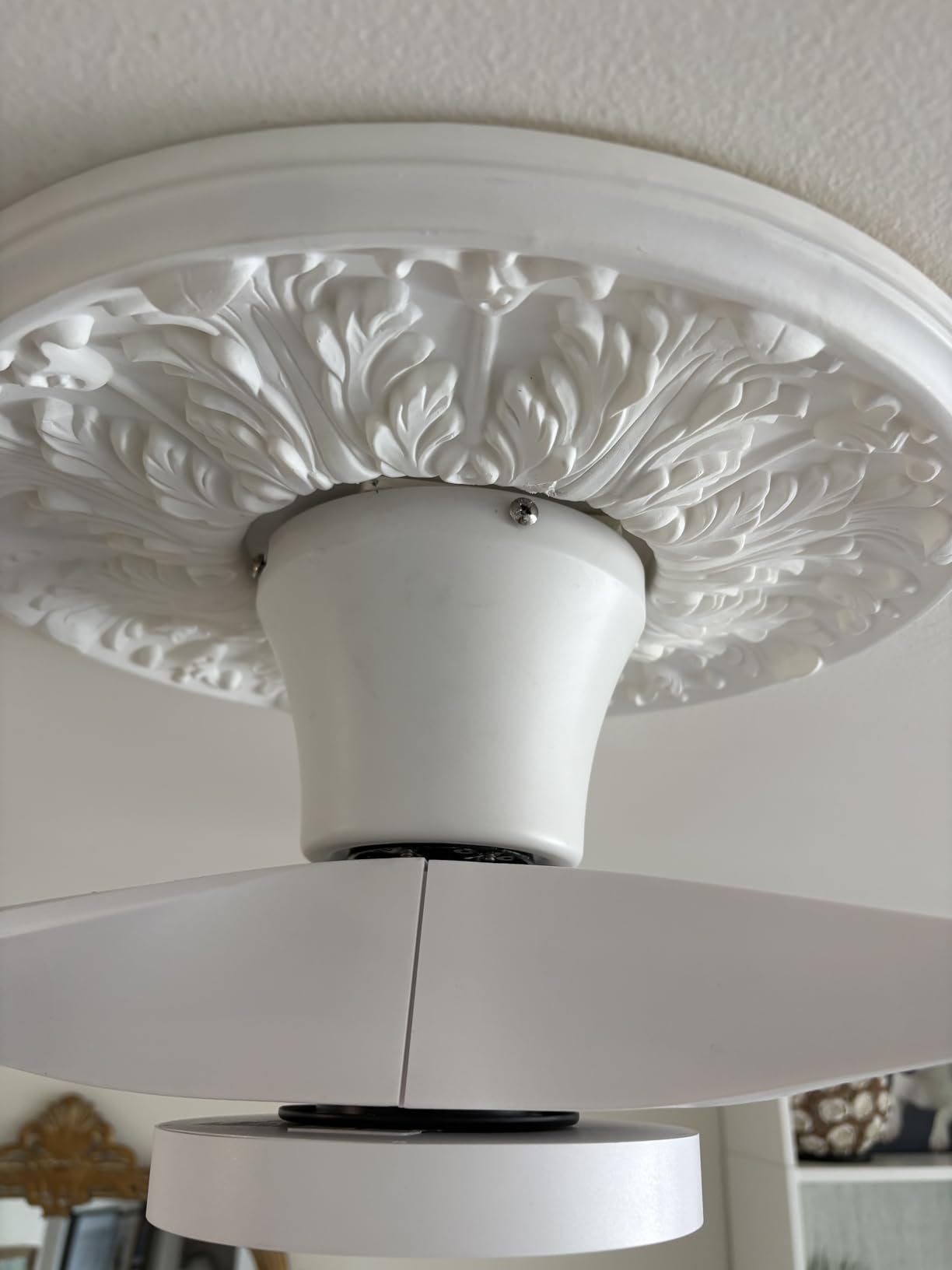 TALOYA 52 inch Ceiling Fans with Lights and Remote Control White customer photo 1