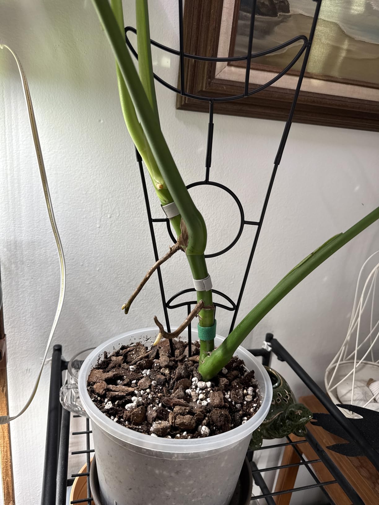 ZOUTOG 4PCS 30