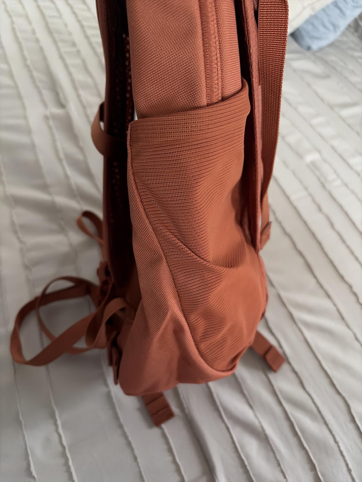 Osprey Daylite Plus Commuter Backpack, Tan OS customer photo 1